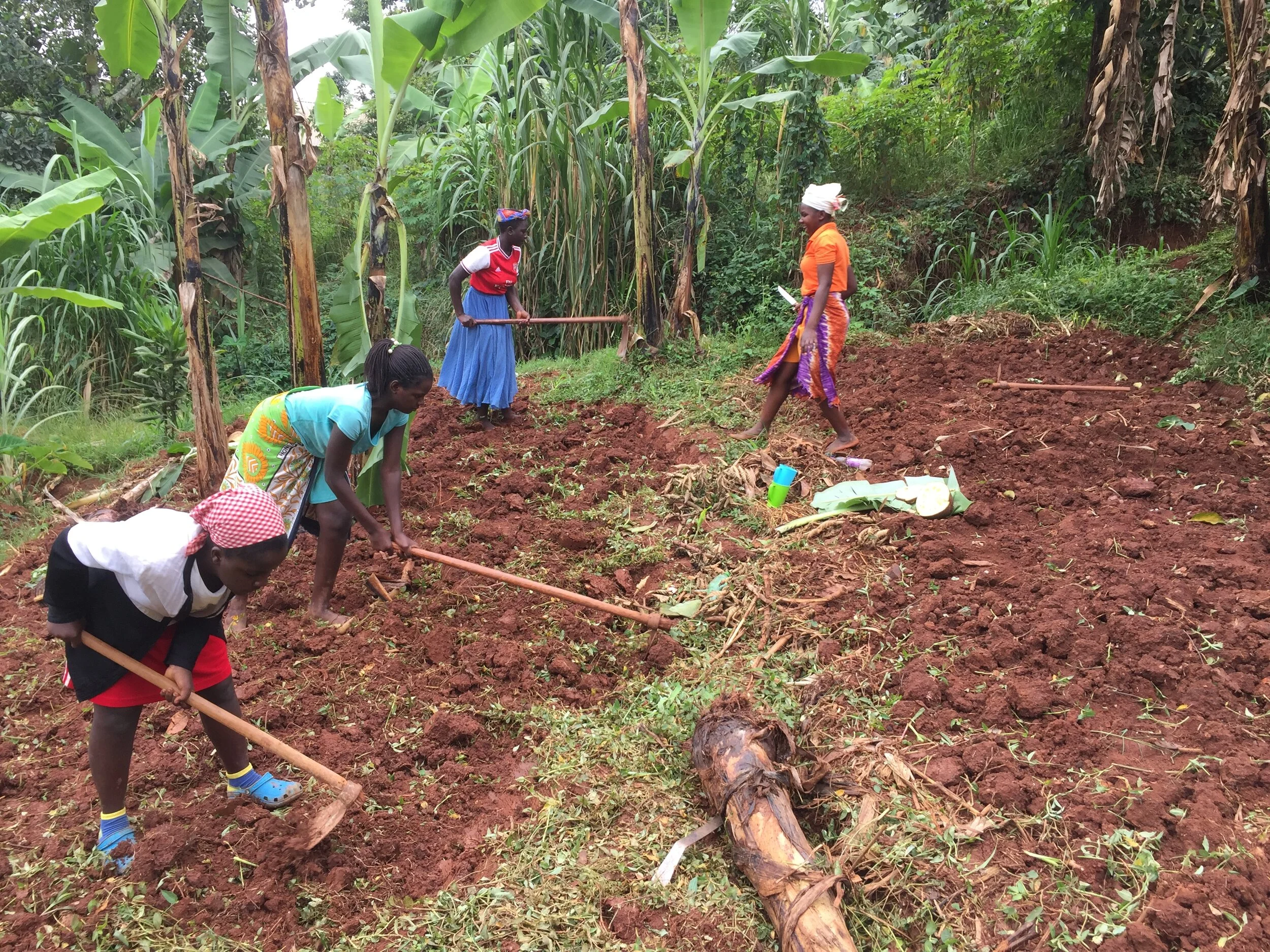 Girls preparing their  main gardens.JPG