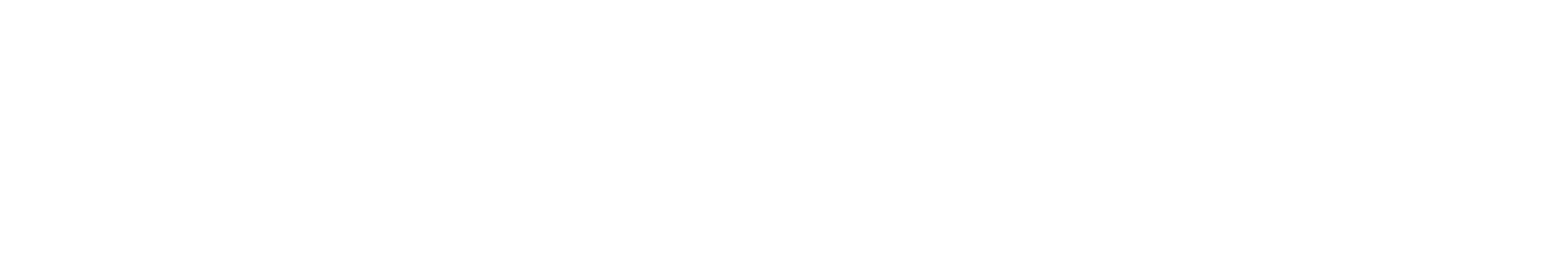 REMAX Niagara Logo Final Black no Balloon wide.png