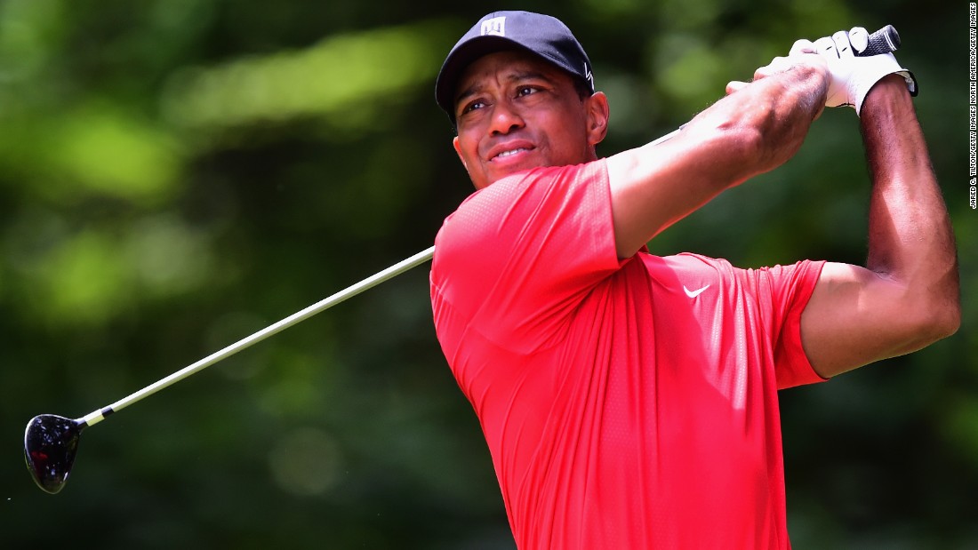 Tiger.jpg