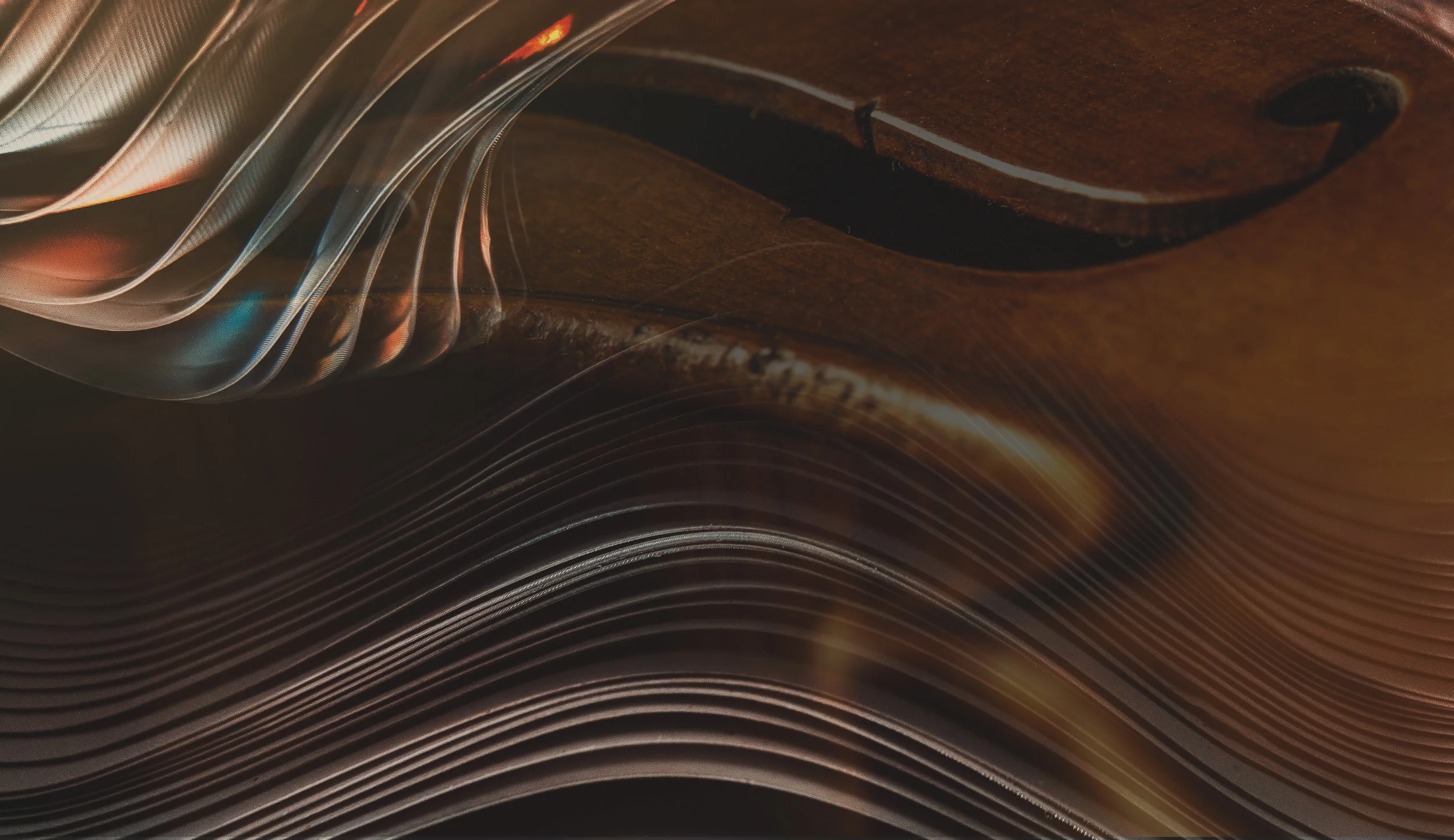 PHBbannerviolinabstract2.jpg