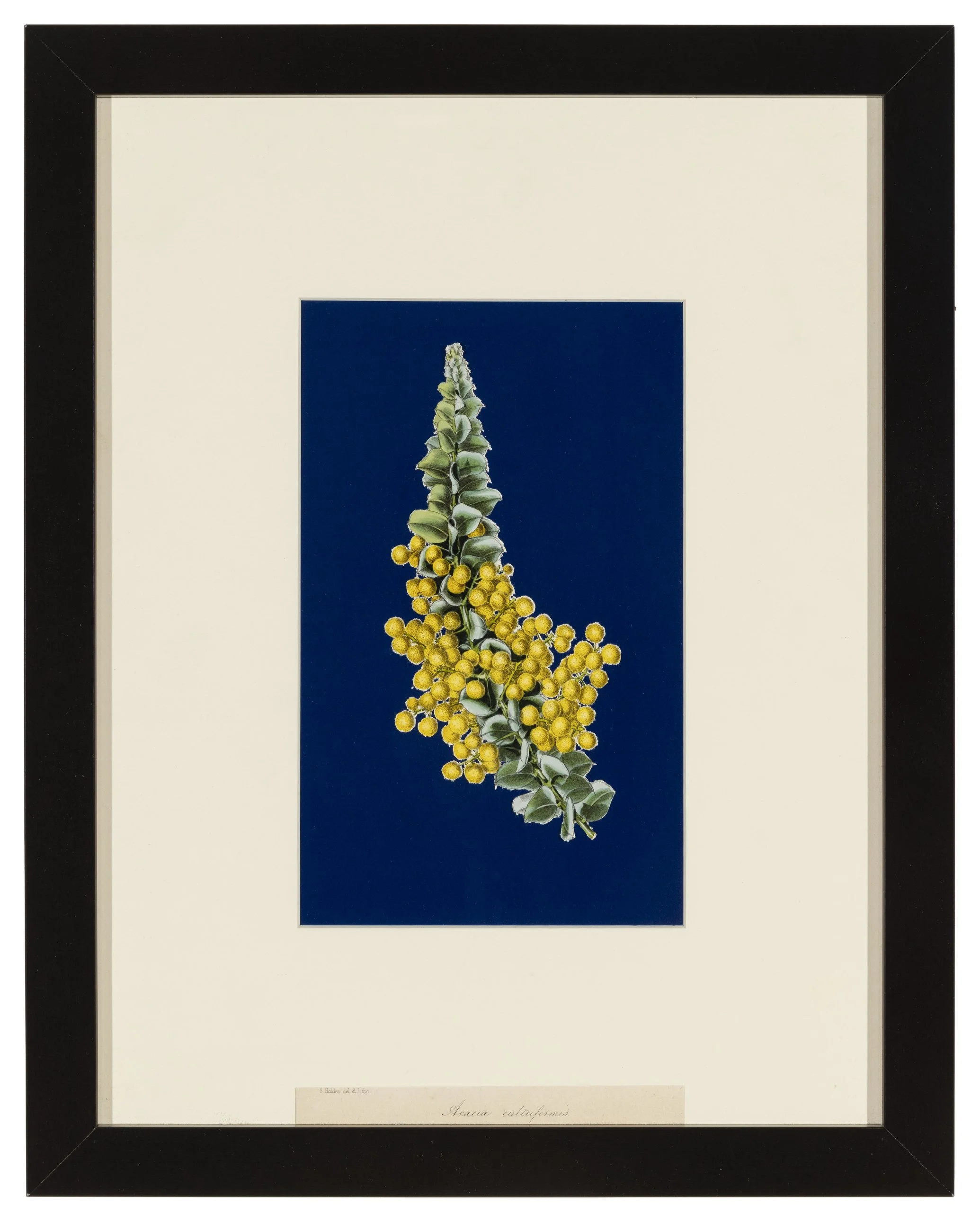 Alex Anderson _ 021.JPG