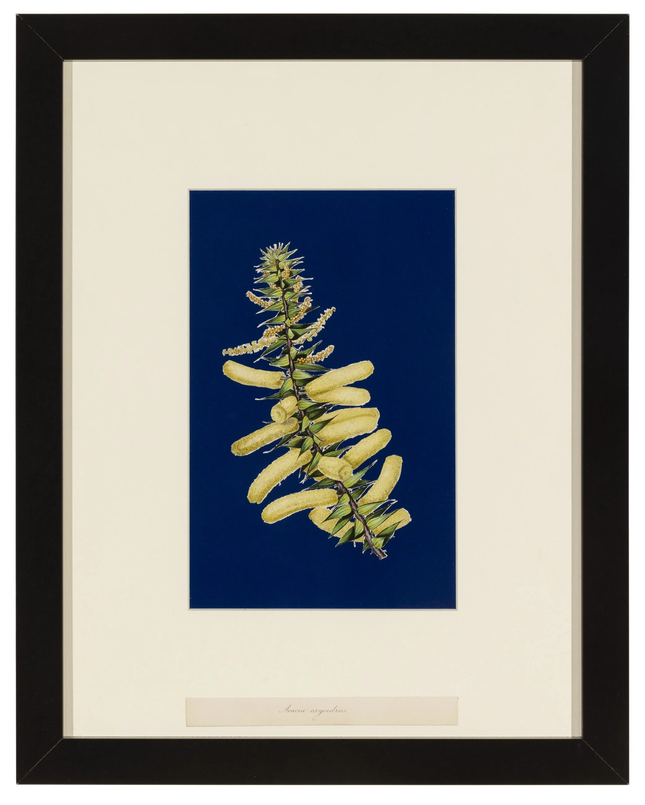 Alex Anderson _ 022.JPG