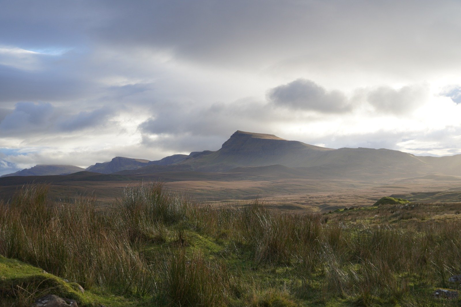 WhatsApp Image 2025-01-30 at 13.14.51 (3).jpeg