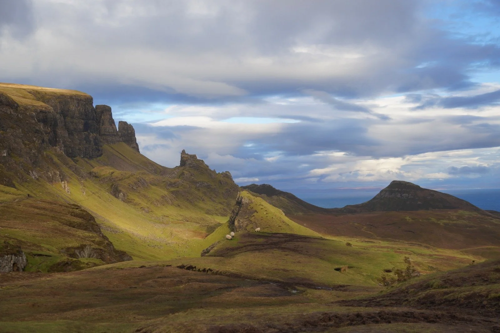 WhatsApp Image 2025-01-30 at 13.14.51 (4).jpeg