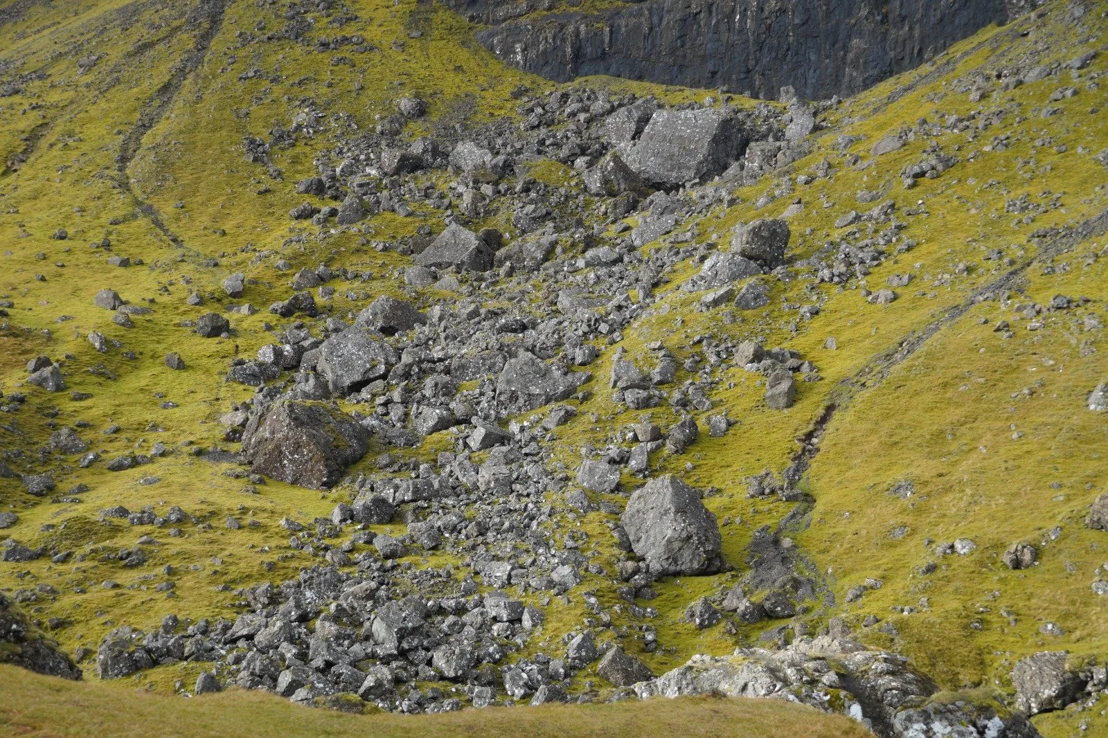 WhatsApp Image 2025-01-30 at 13.14.51 (1).jpeg