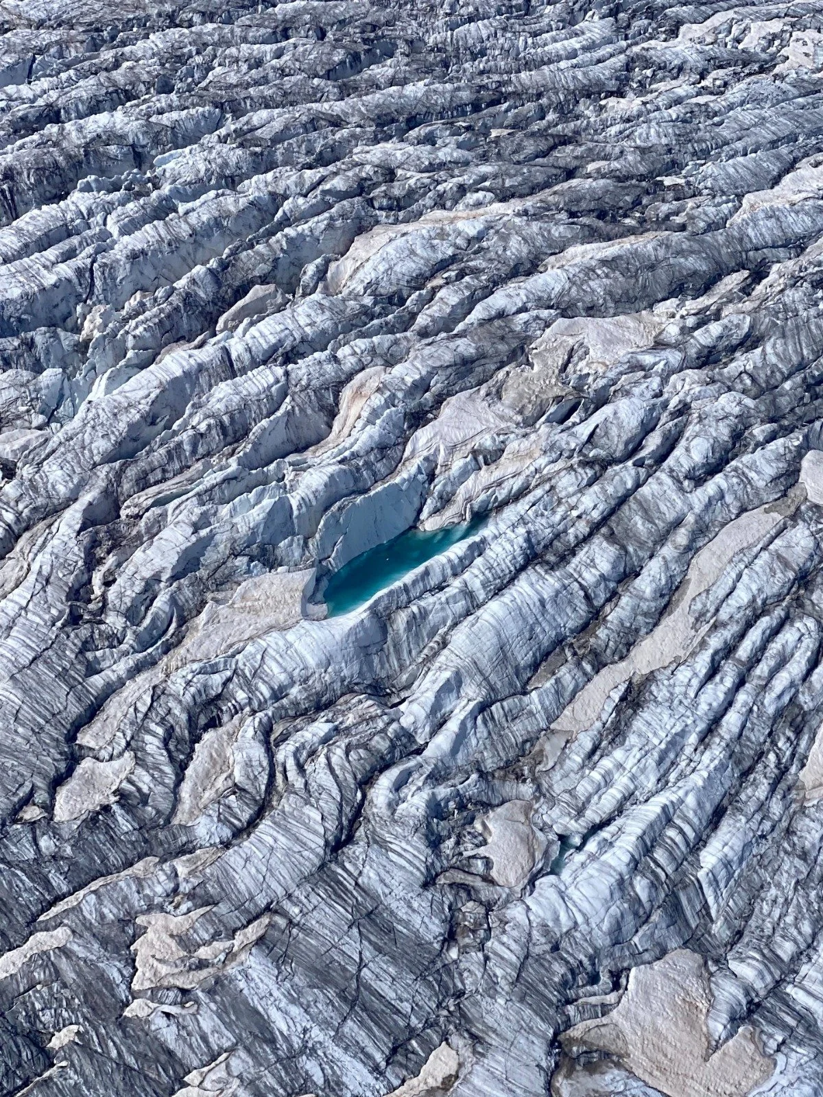 WhatsApp Image 2025-01-30 at 13.14.51 (7).jpeg