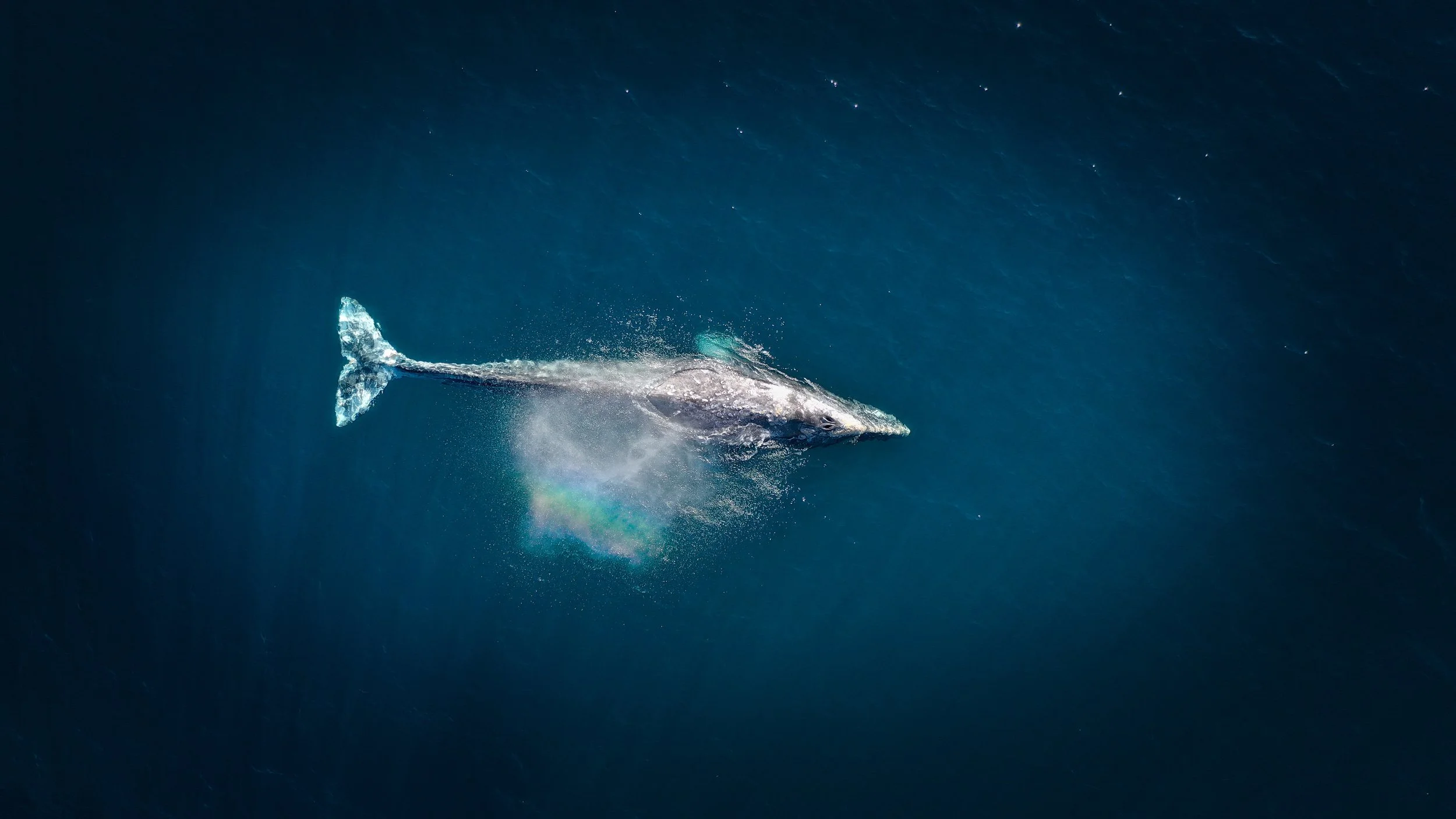 On Molokini and Making Real