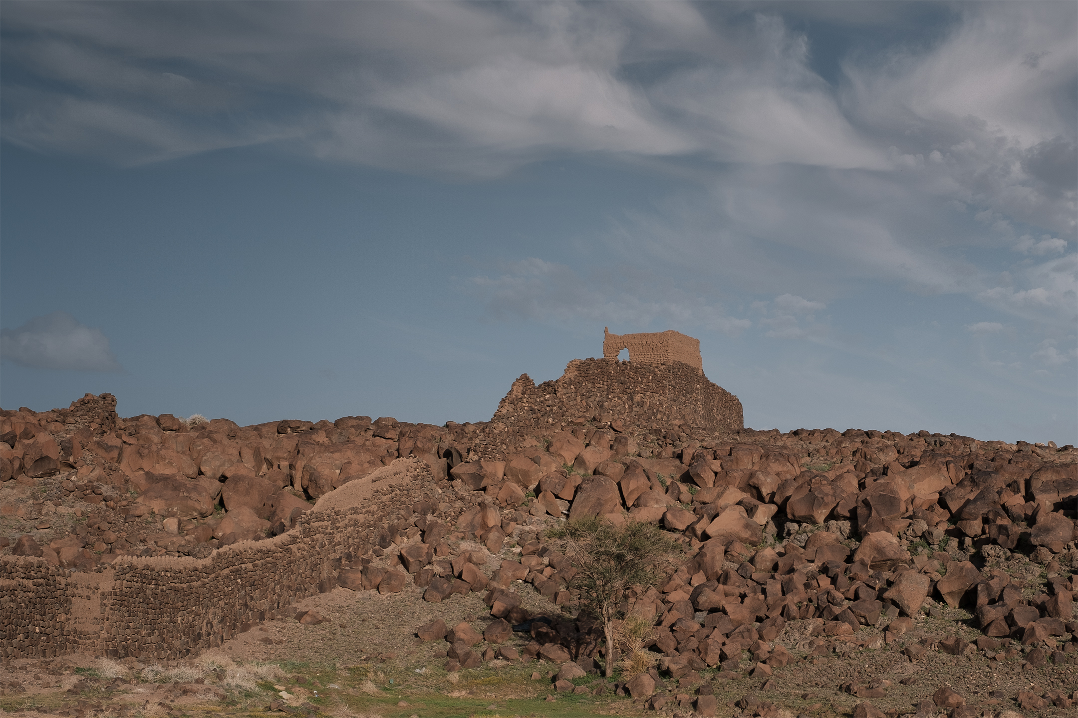 _DSF0097.jpg