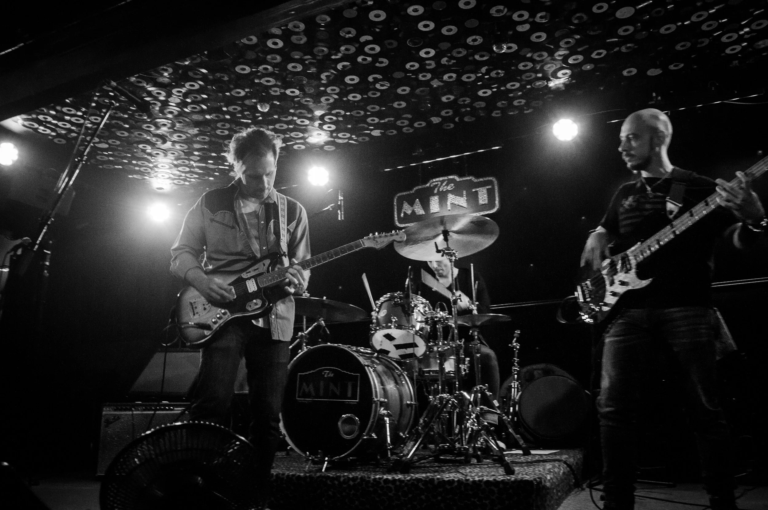 JAVELINA THE MINT 001.JPG