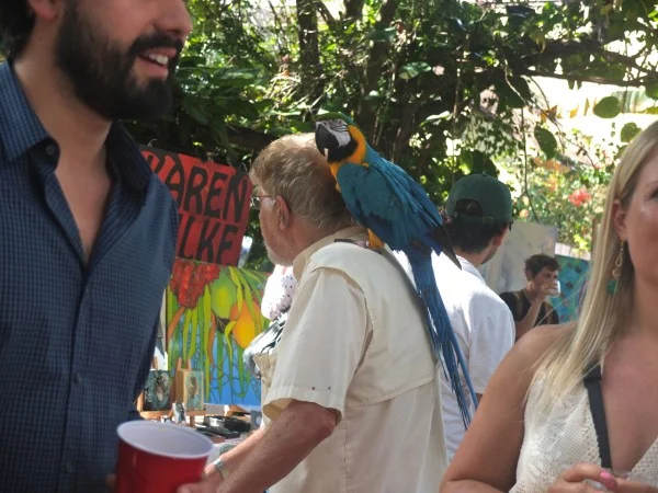 b2ap3_thumbnail_gifford-lane-art-stroll-parrot_20150303-035119_1.jpg