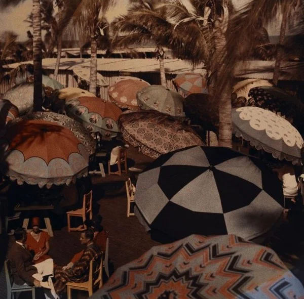 important question of the day: umbrella edition