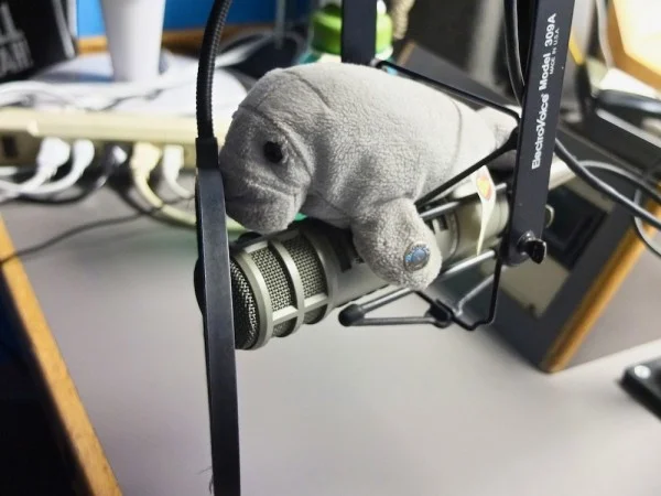 wvum studio visit