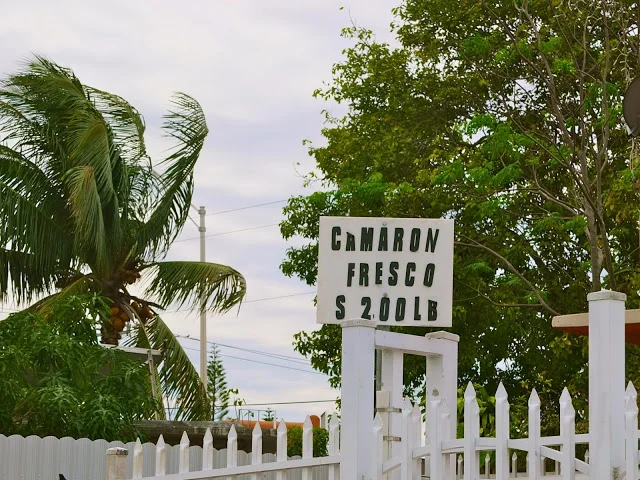 camarones frescos from a front yard in hialeah