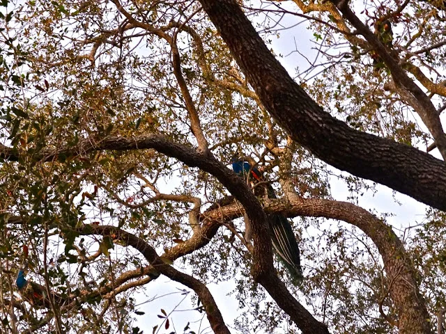 i spy with my little eye