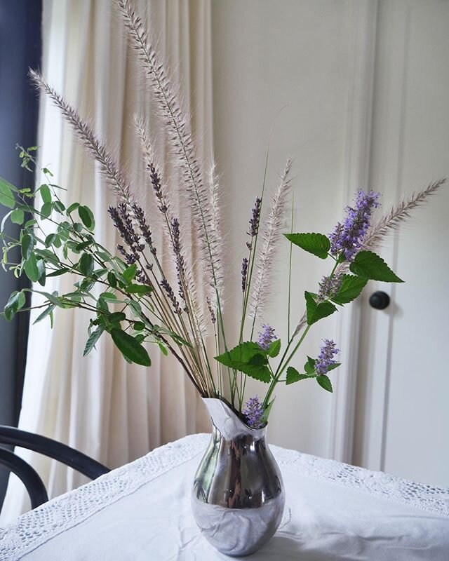 Lil weirdos from my backyard and garden (except the dried lavender). Anise hyssop, fountain grass, weeds. .
.
.
. #garden #gardening #gardenlife #gardendesign #arrangement #floralarrangement #floralarrangements #fountaingrass #zone10b #tropicalflower