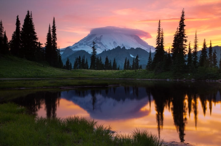 Rainier.png