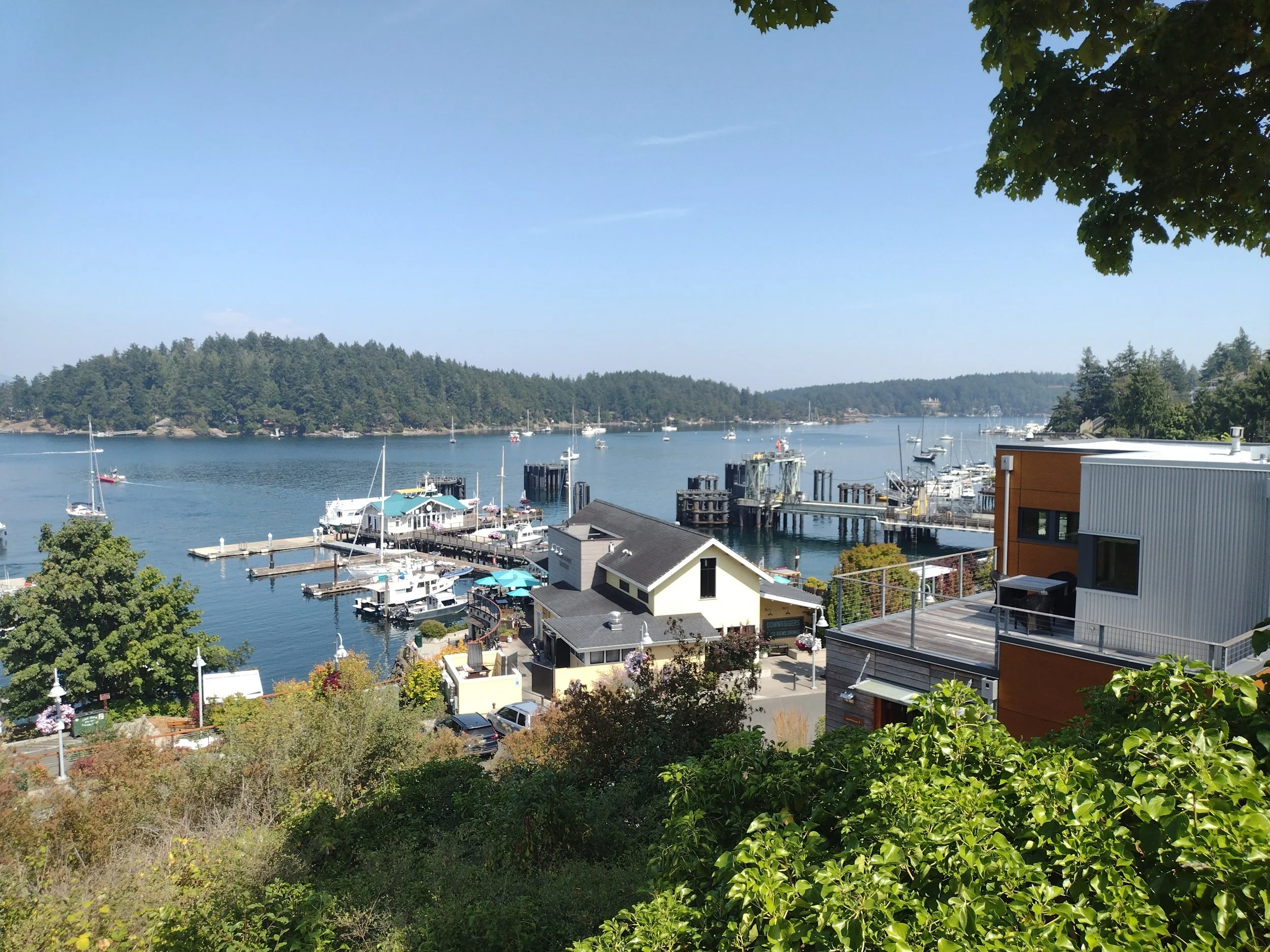 IMG_20260722_145407693.jpg