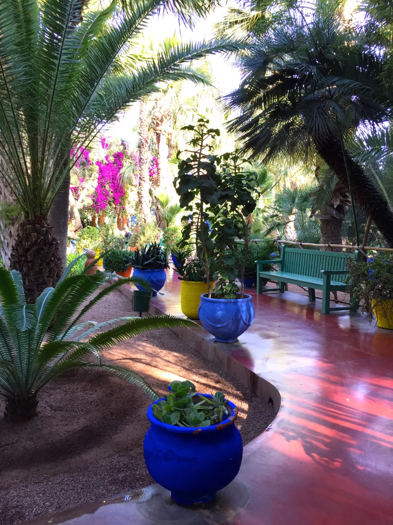 My-visit-Majorelle-garden-Jardin-Majorelle-pathways.jpg