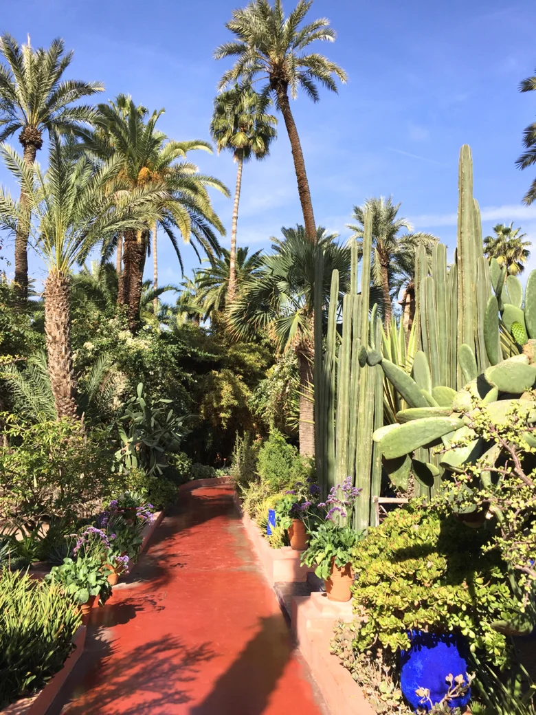 My-visit-Majorelle-Gardens-Jardin-Majorelle-Cactus.jpg