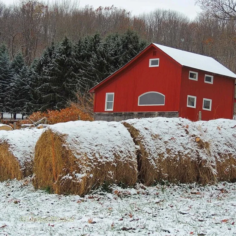 Lesley Meyr red barn