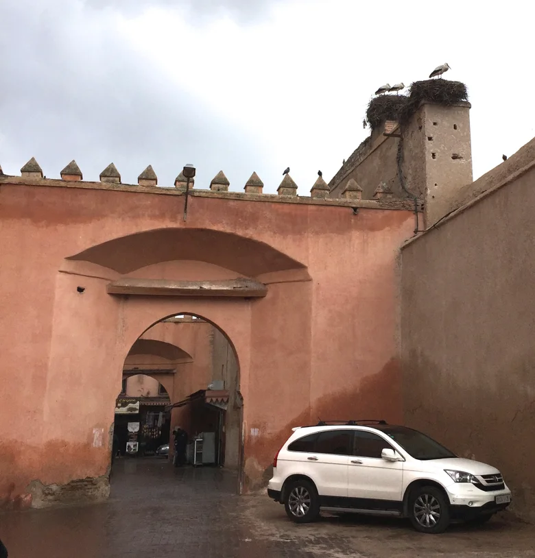 The "Rose" city- Marrakech, Morocco