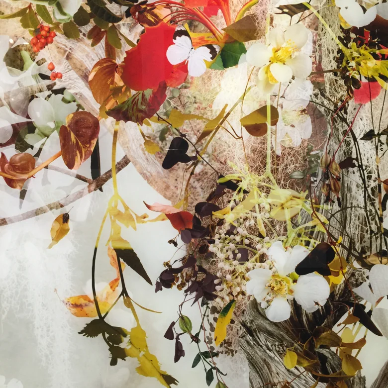 photography show-ysabel lemay