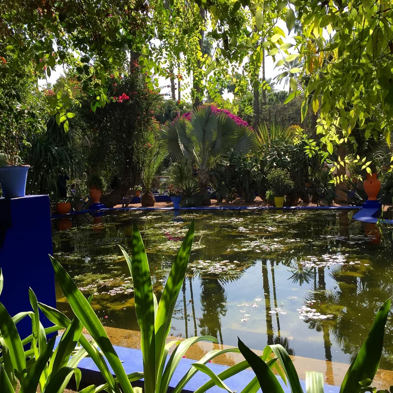 my visit -majorelle gardens oasis