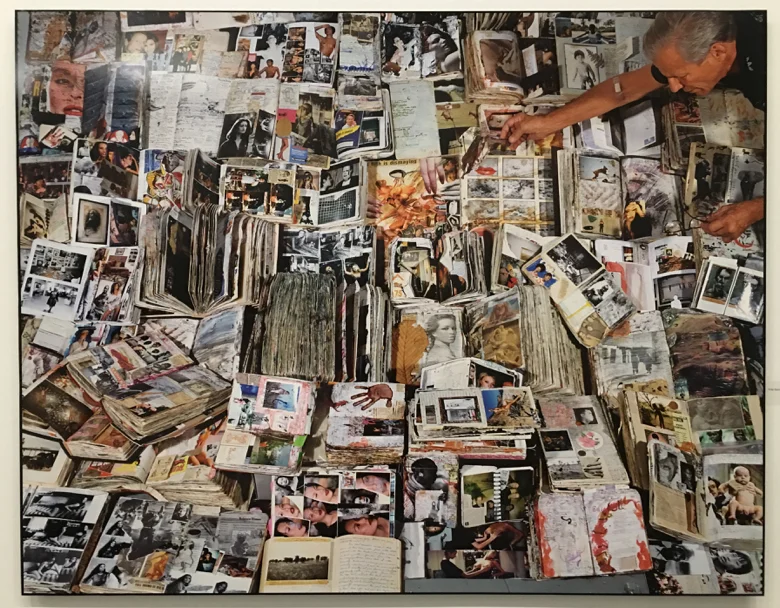 Peter Beard and Diaries, 1977-2005