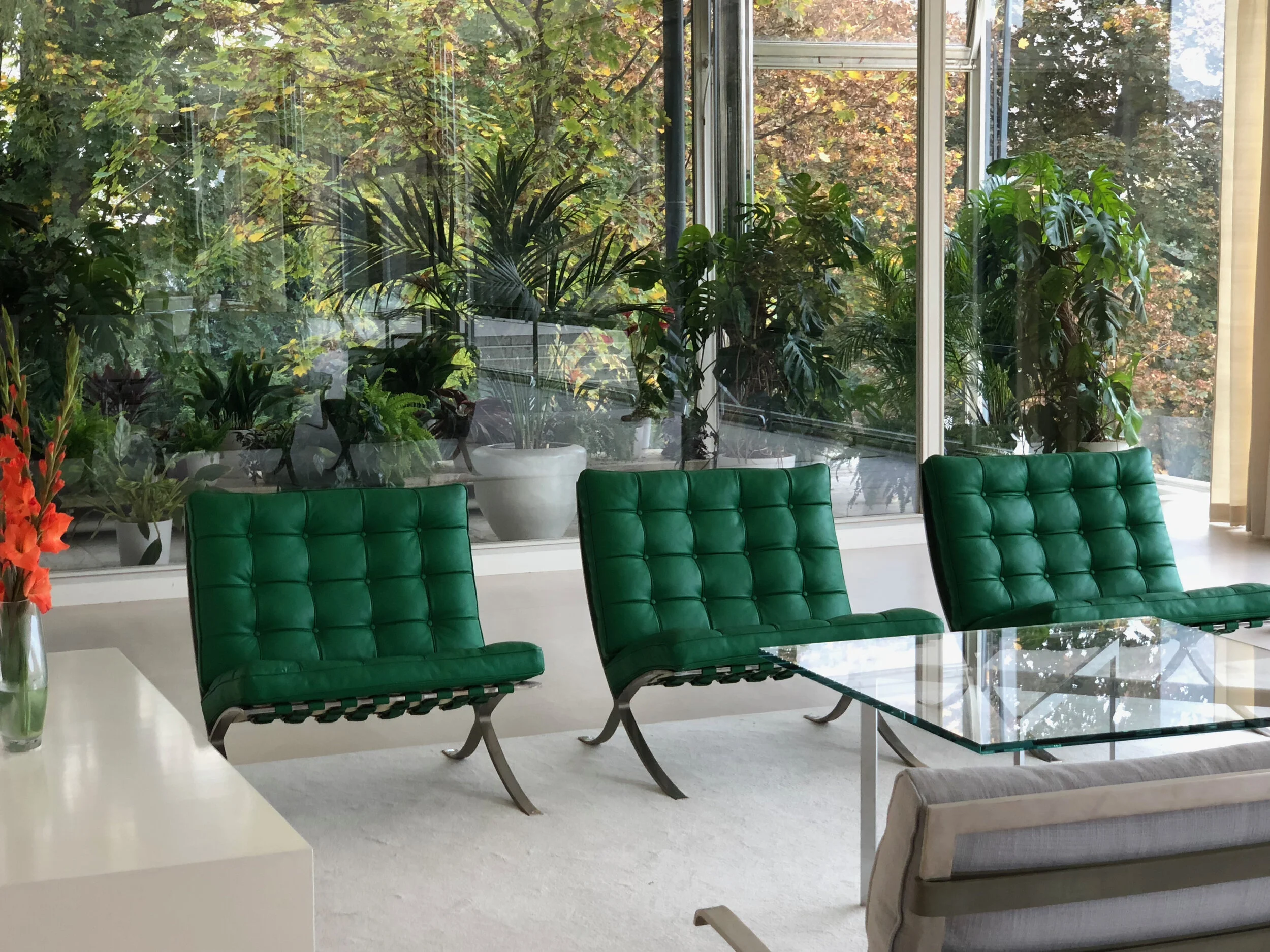 Mies van der Rohe’s Via TugendhatPhoto by Lynn Byrne