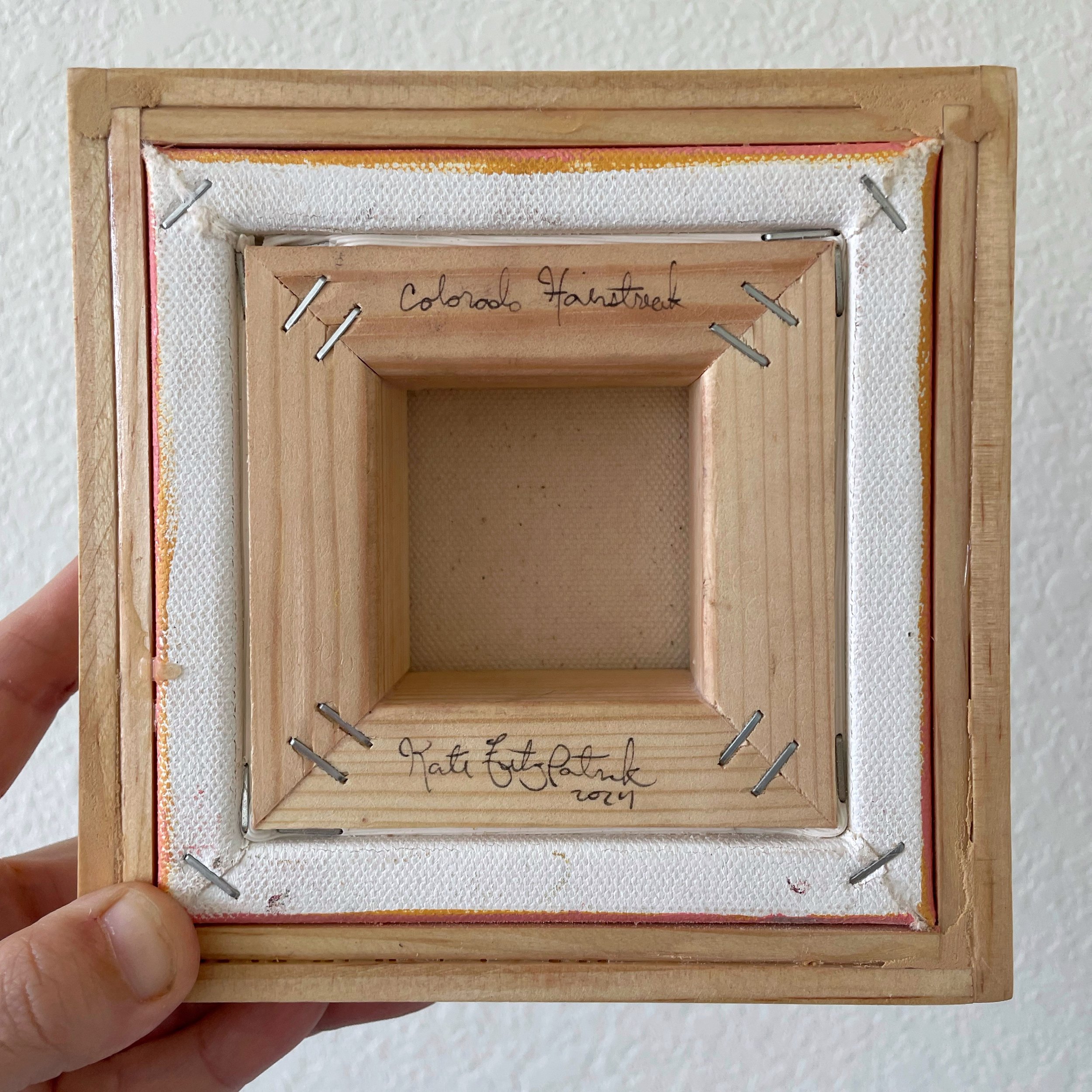 the back of the colorado hairstreak butterfly framed painting