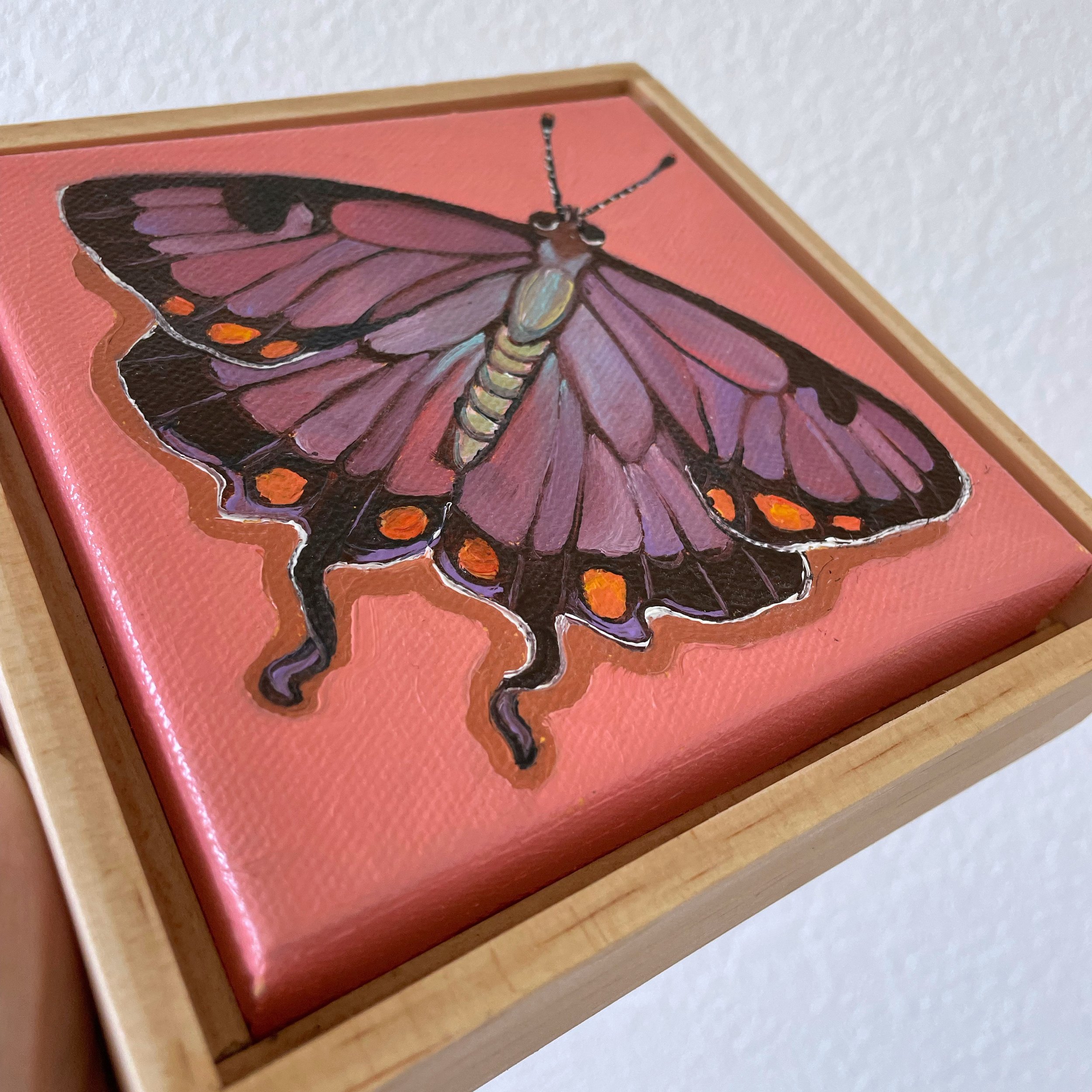 A low side angle of the colorado hairstreak butterfly painting