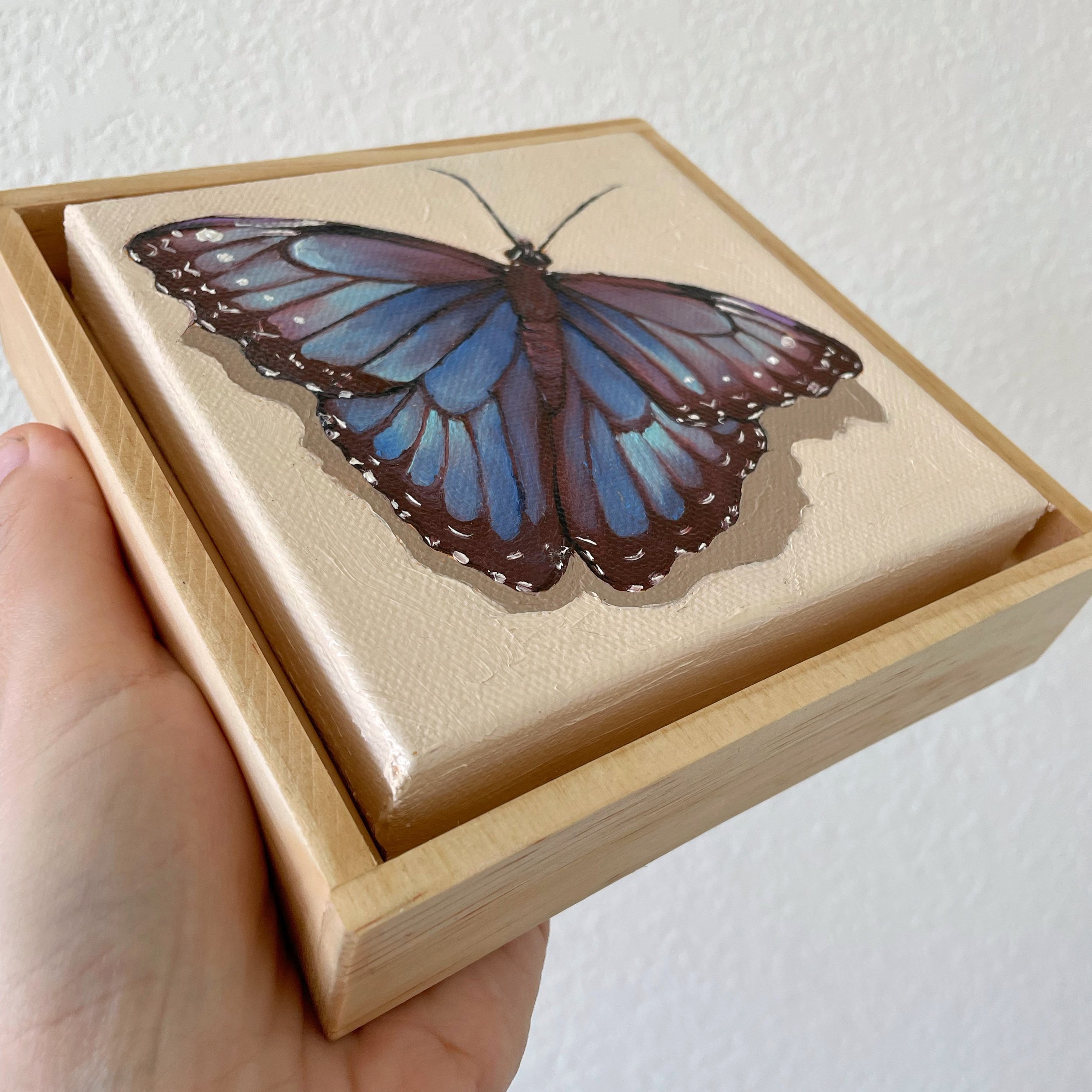 a low side angle of the blue morpho butterfly painting