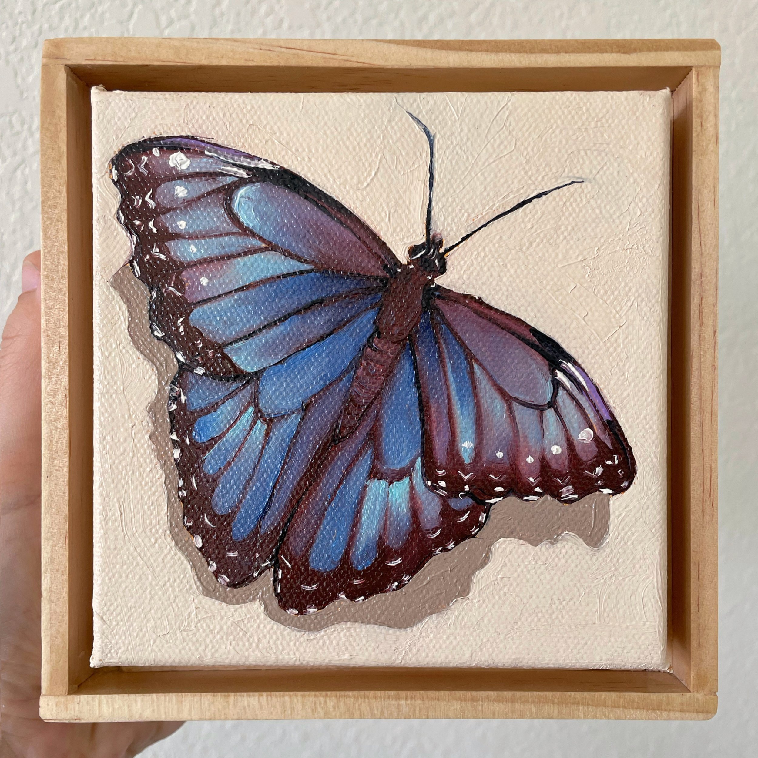 a framed painting of a blue morpho butterfly on a cream background