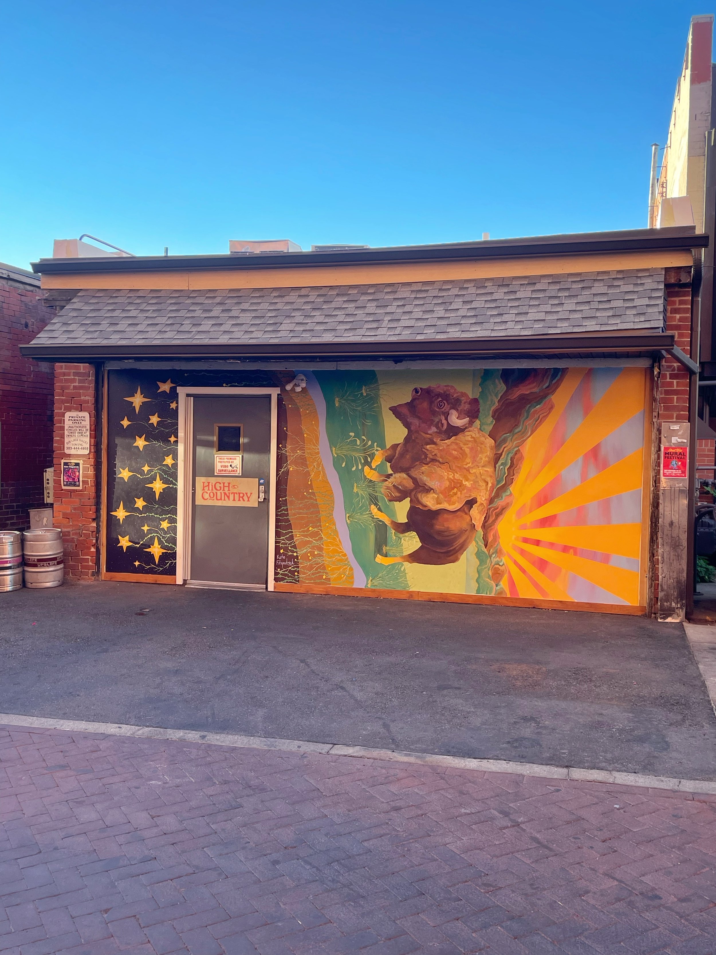 Street Wise Mural Festival - Boulder, CO