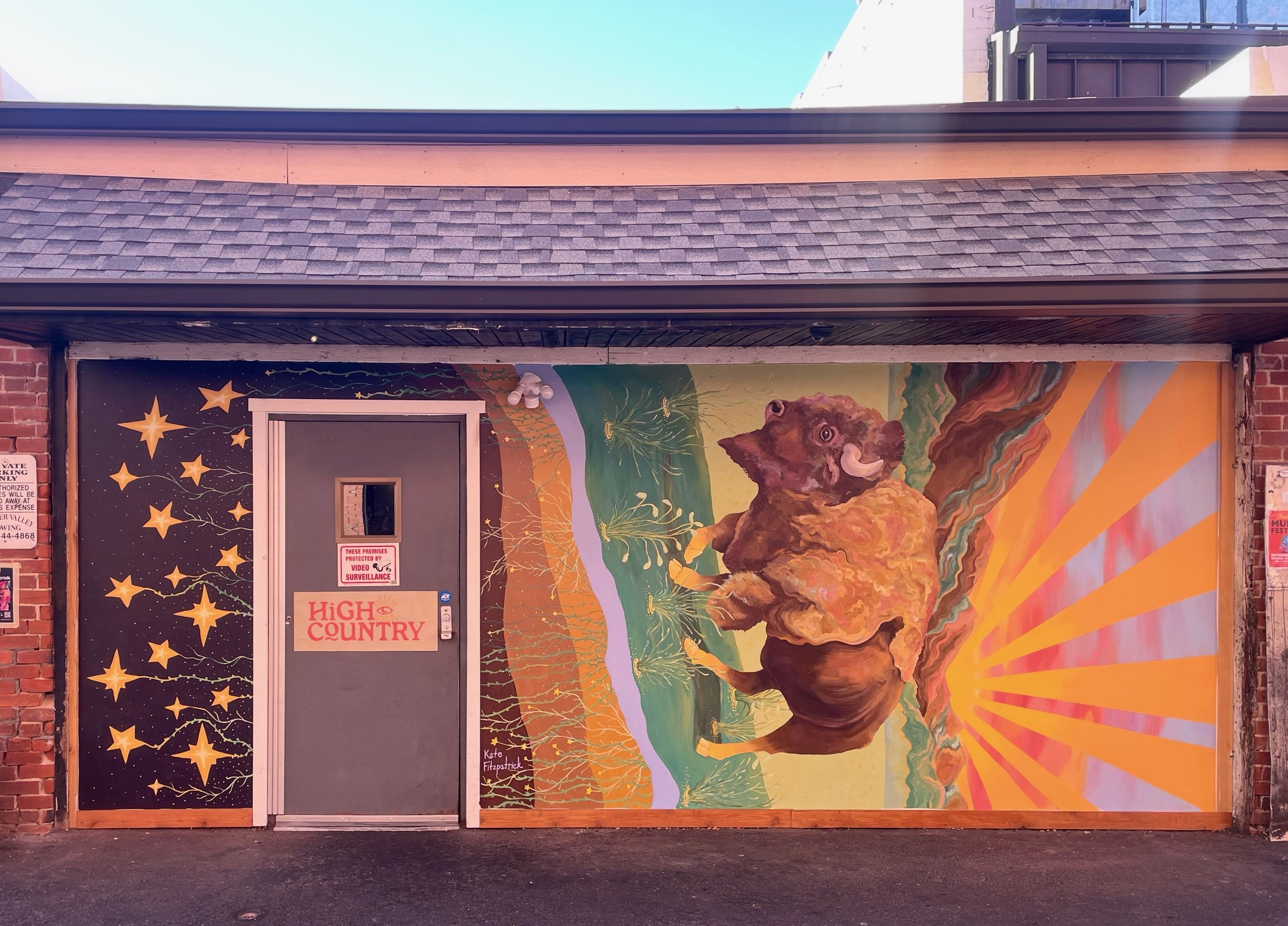 Street Wise Mural Festival - Boulder, Co