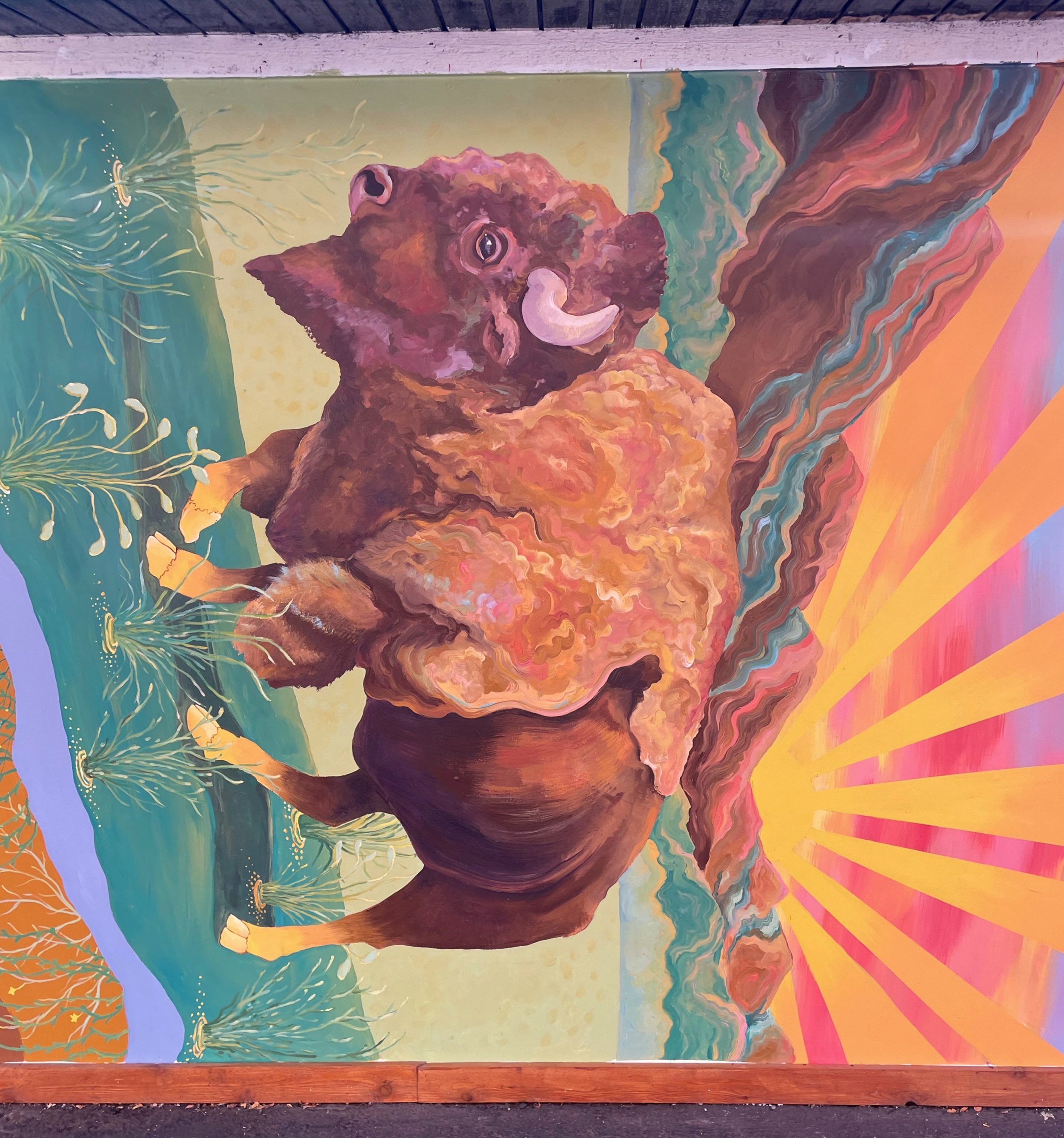 Street Wise Mural Festival - Boulder, CO