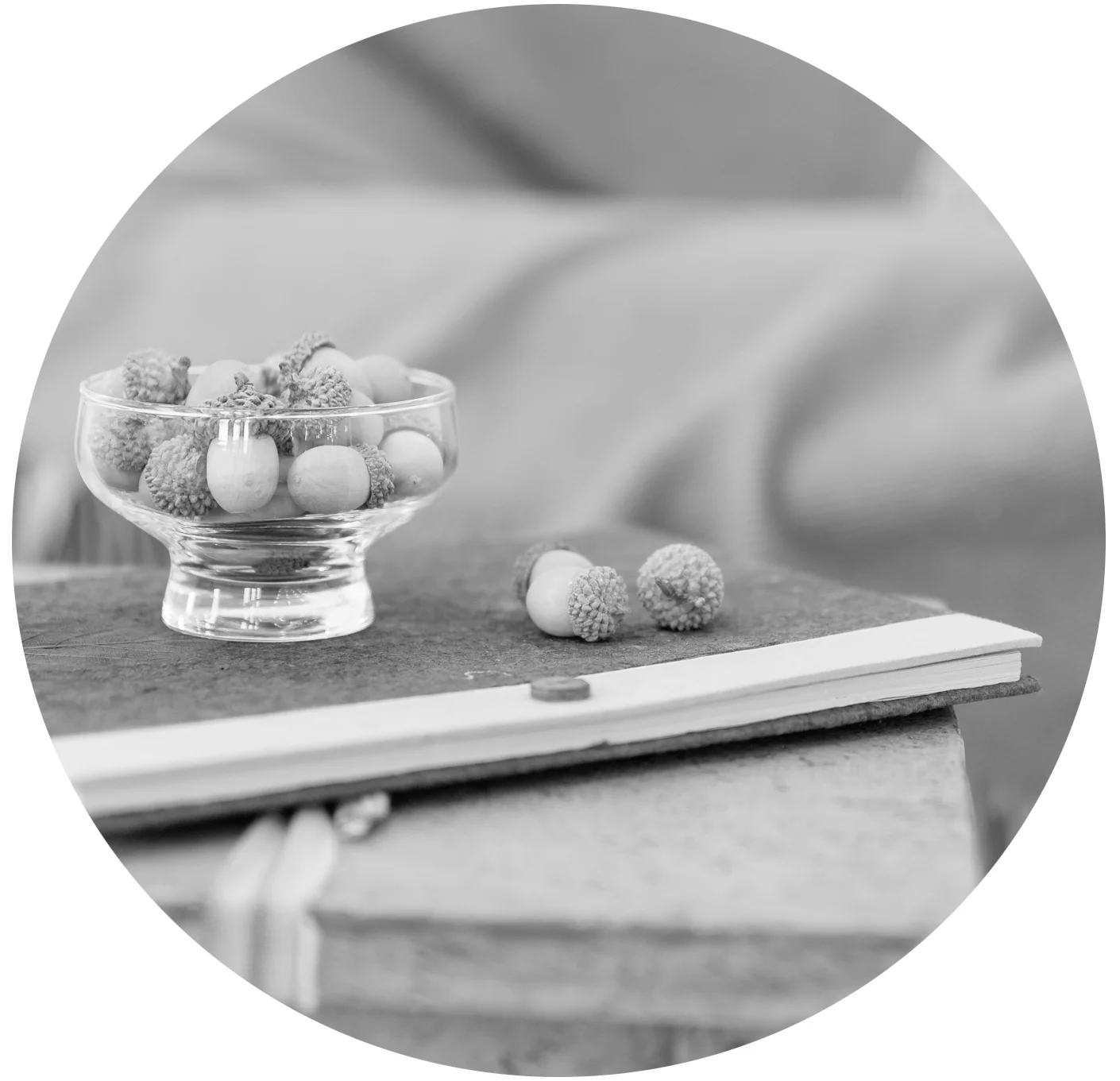 20180823-branding-lifestyle-journaling-lynelle-1_BW_round.jpg