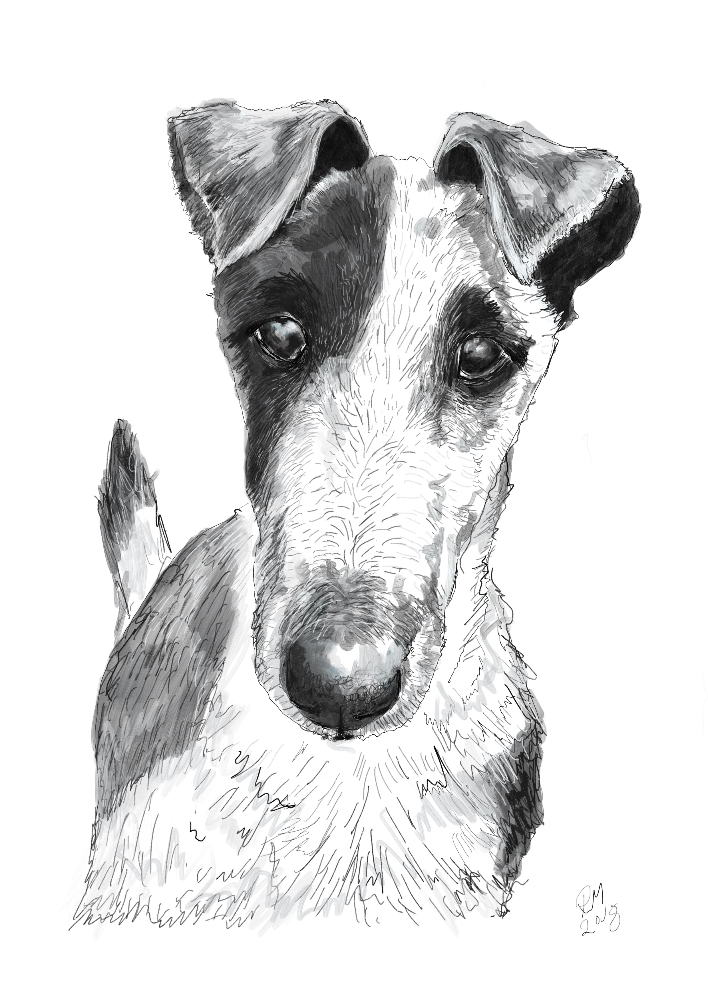 Short_Hair_Fox_Terrier.jpg