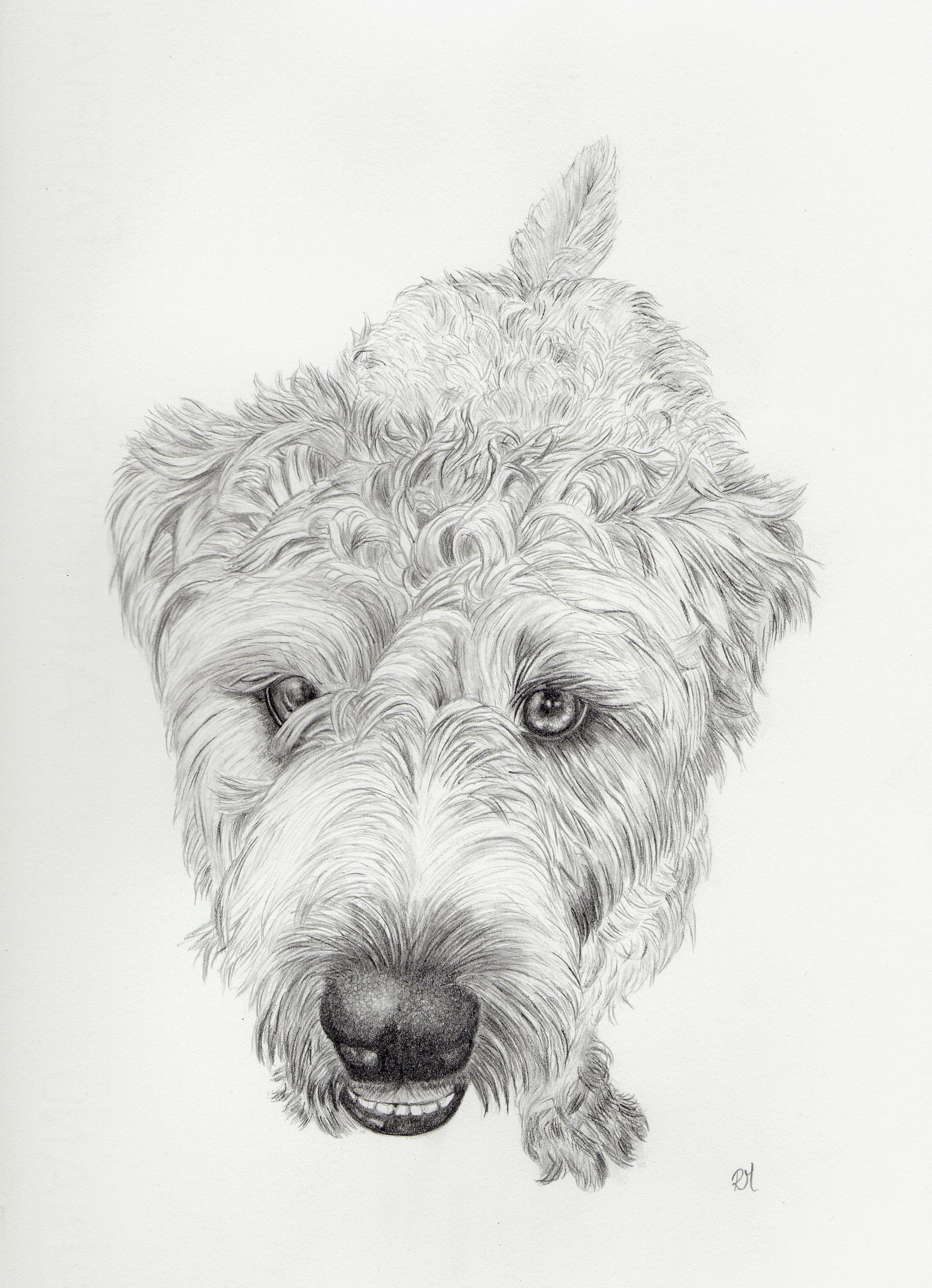 Graphite Labs Trust Portrait 2.JPG