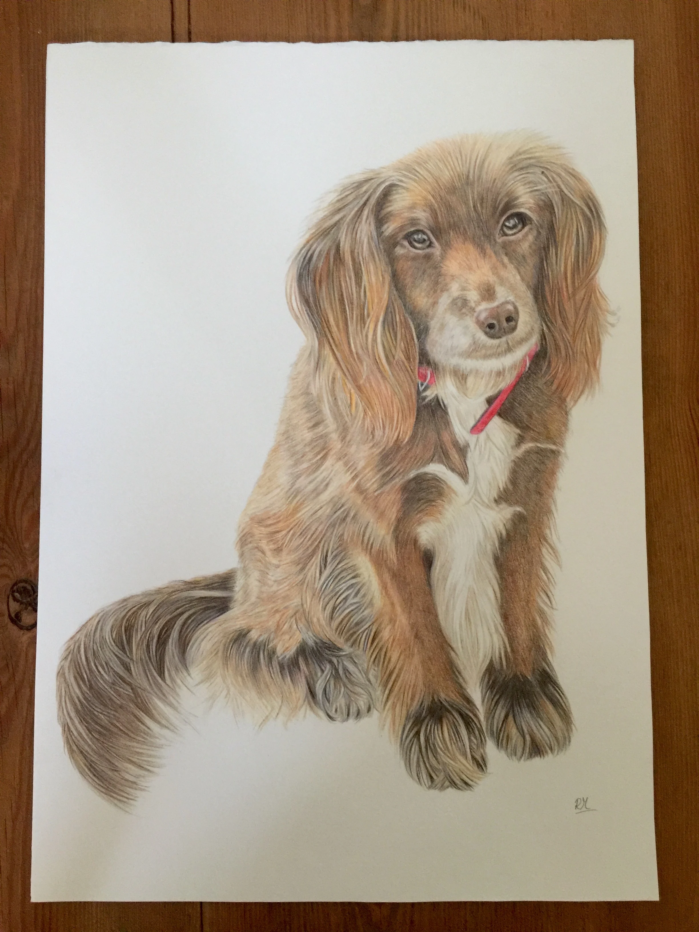 Portrait of Myla