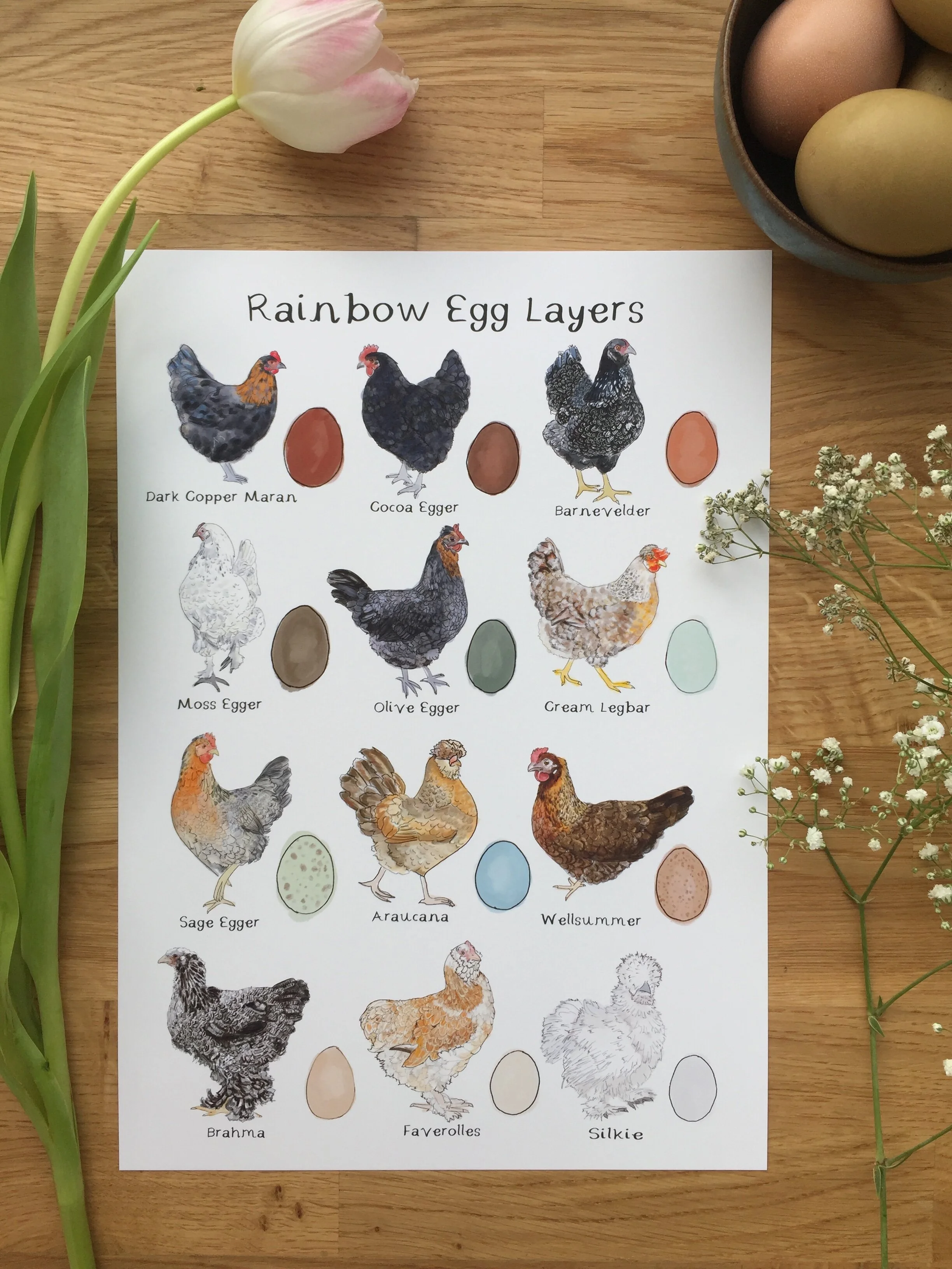 Rainbow Egg Layers Art Print