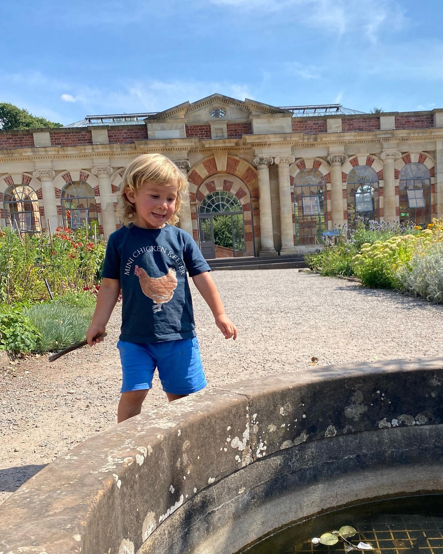☀️🐓Mini Chicken Keeper Adventures🐓☀️
.
Summer hols in full swing, we had great fun checking out the gardens at @tyntesfieldnt yesterday! 
.
The Mini Chicken Keeper design is available on t-shirts, sweatshirts, hooded tops and long sleeved tops.  Th