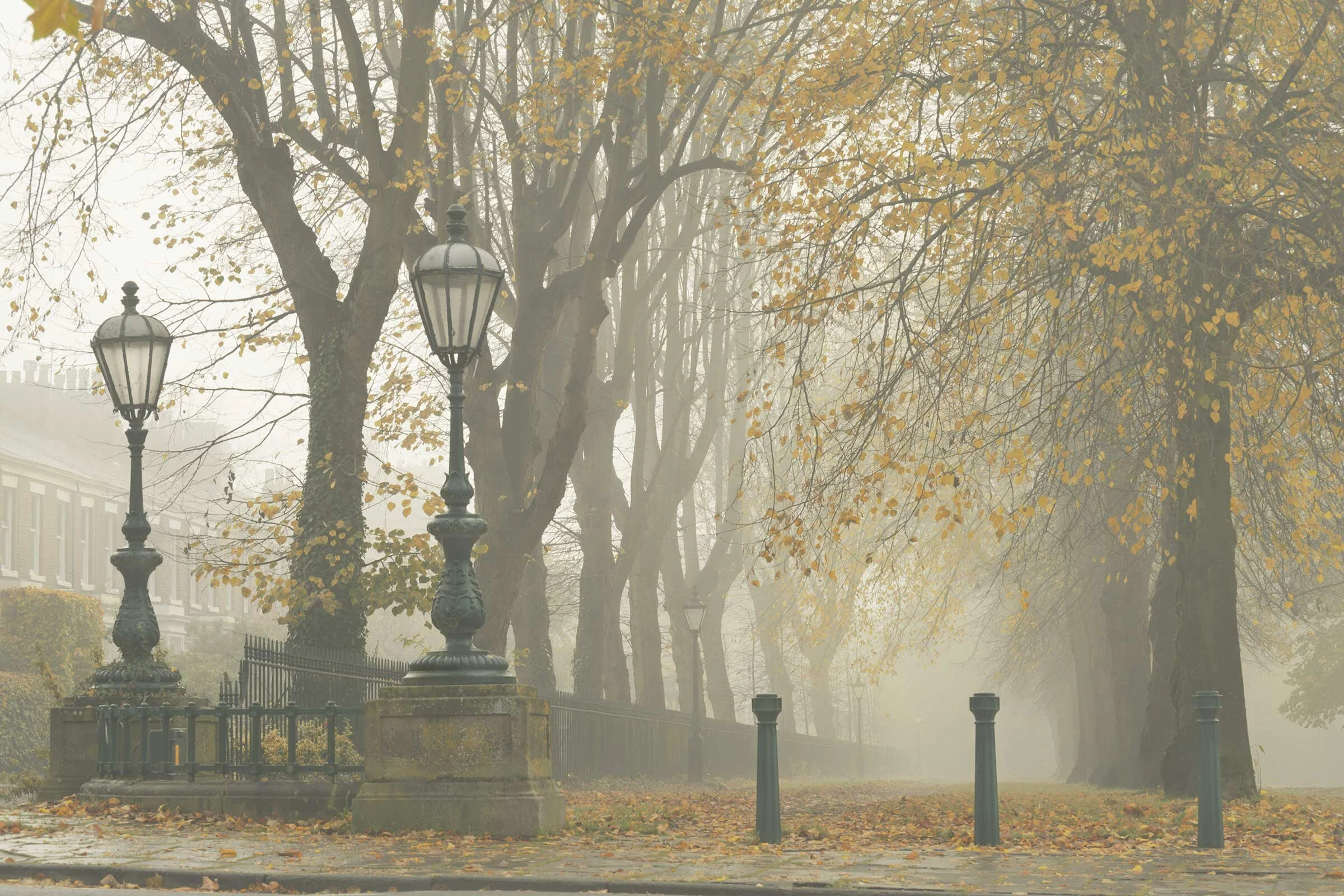 Avenham Colonnade Autumn DSC_5362.jpg