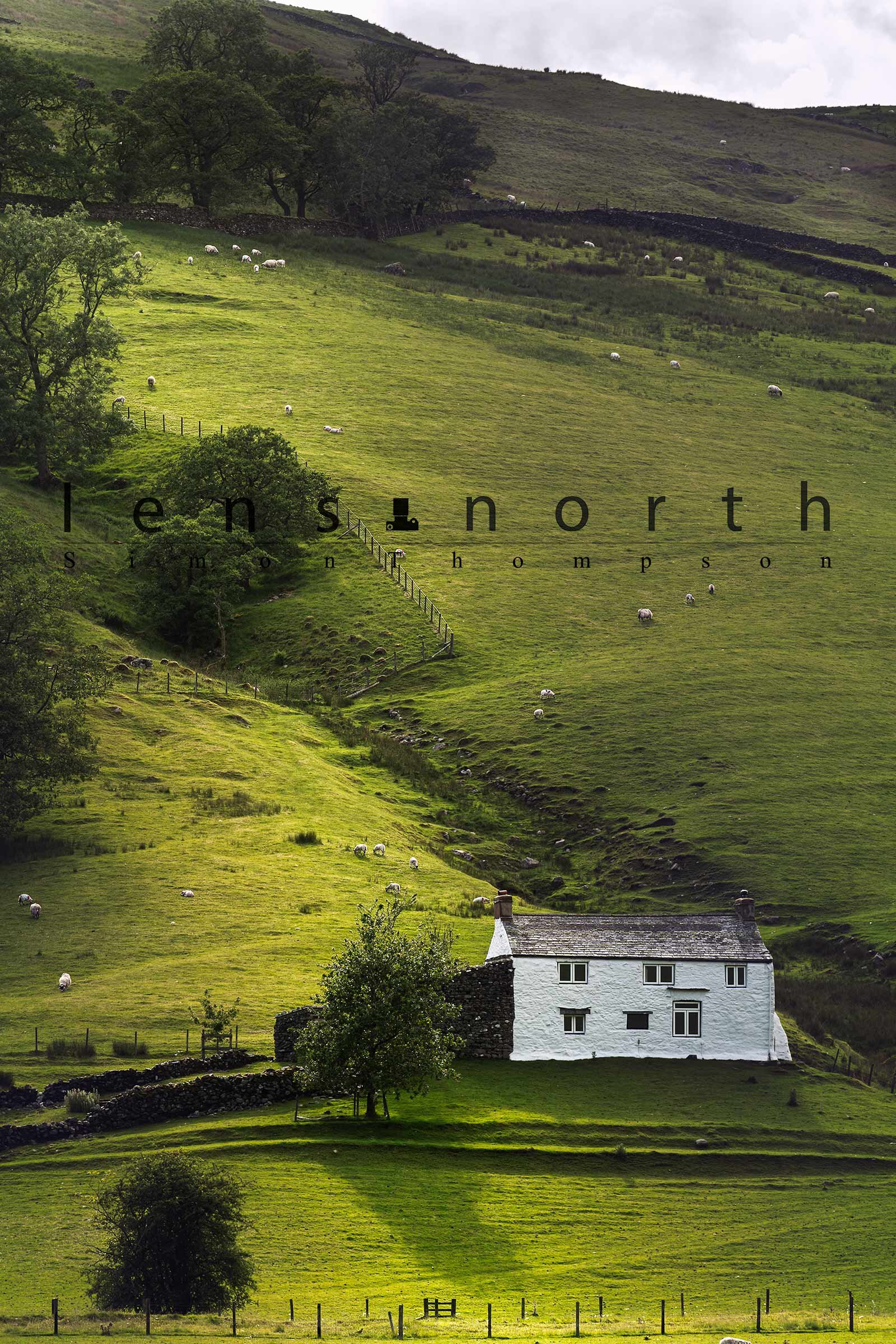 Light down the slope 2 DSC_2641.jpg