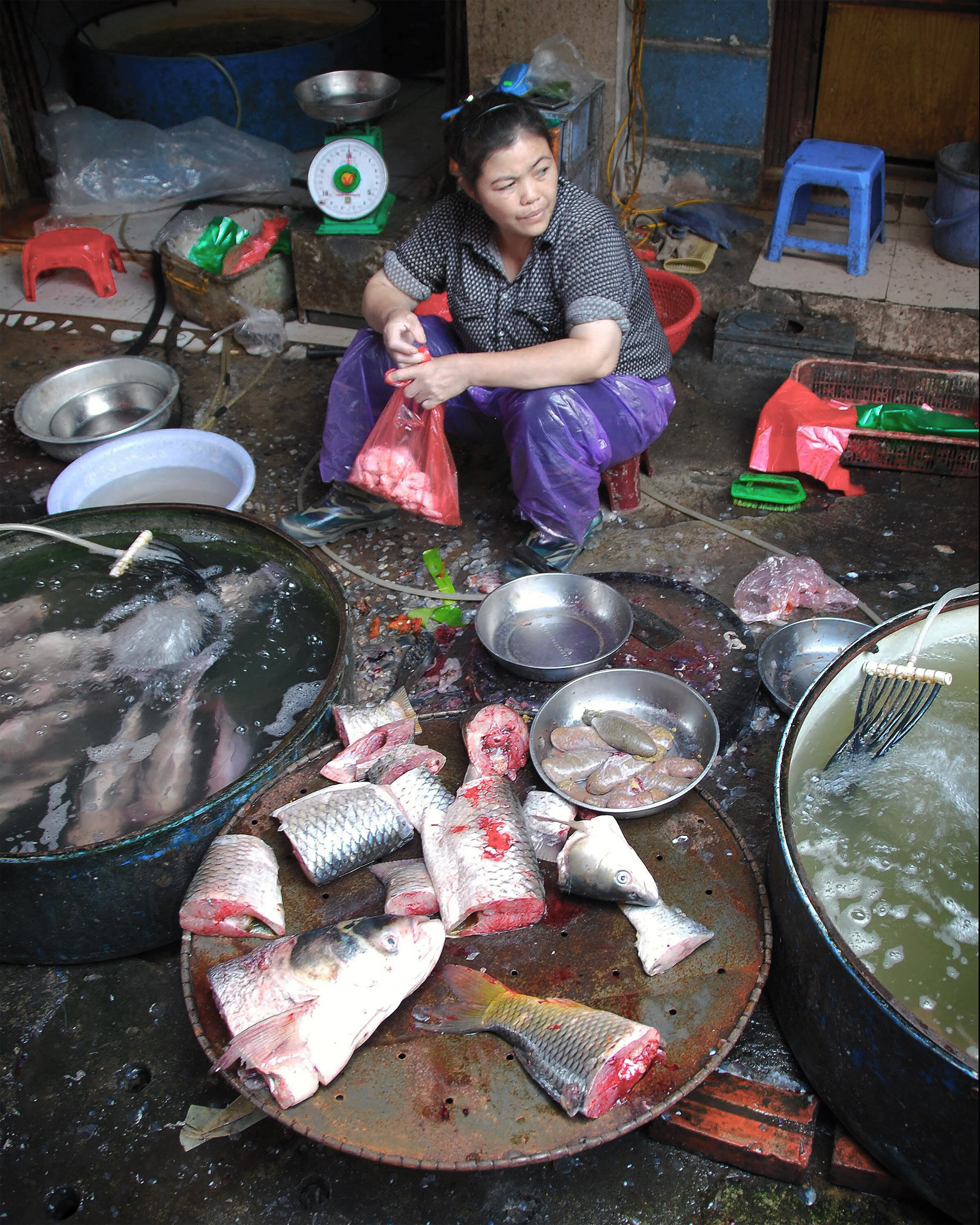 20161117_Fish Lady_Hanoi.jpg