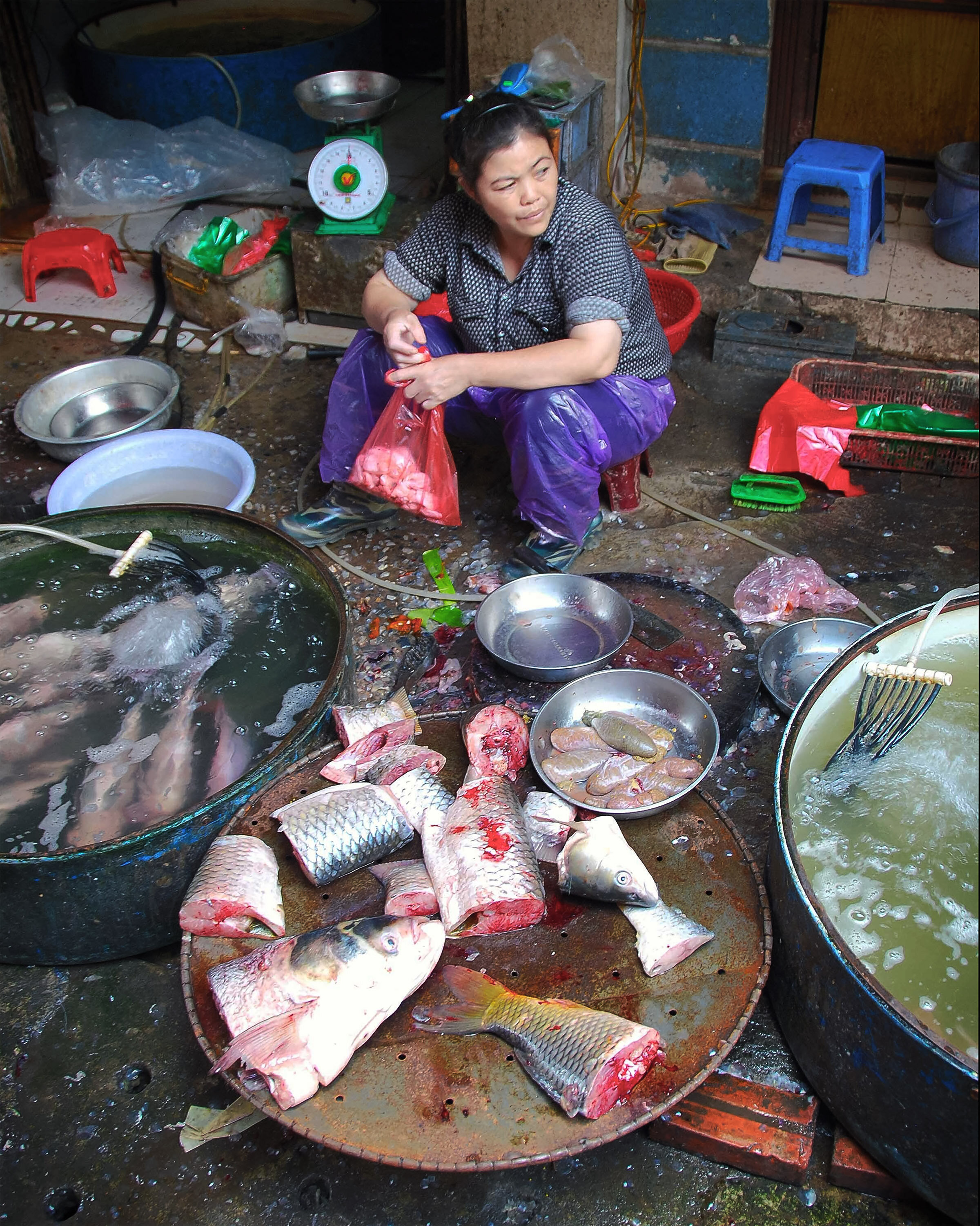 Fish Monger