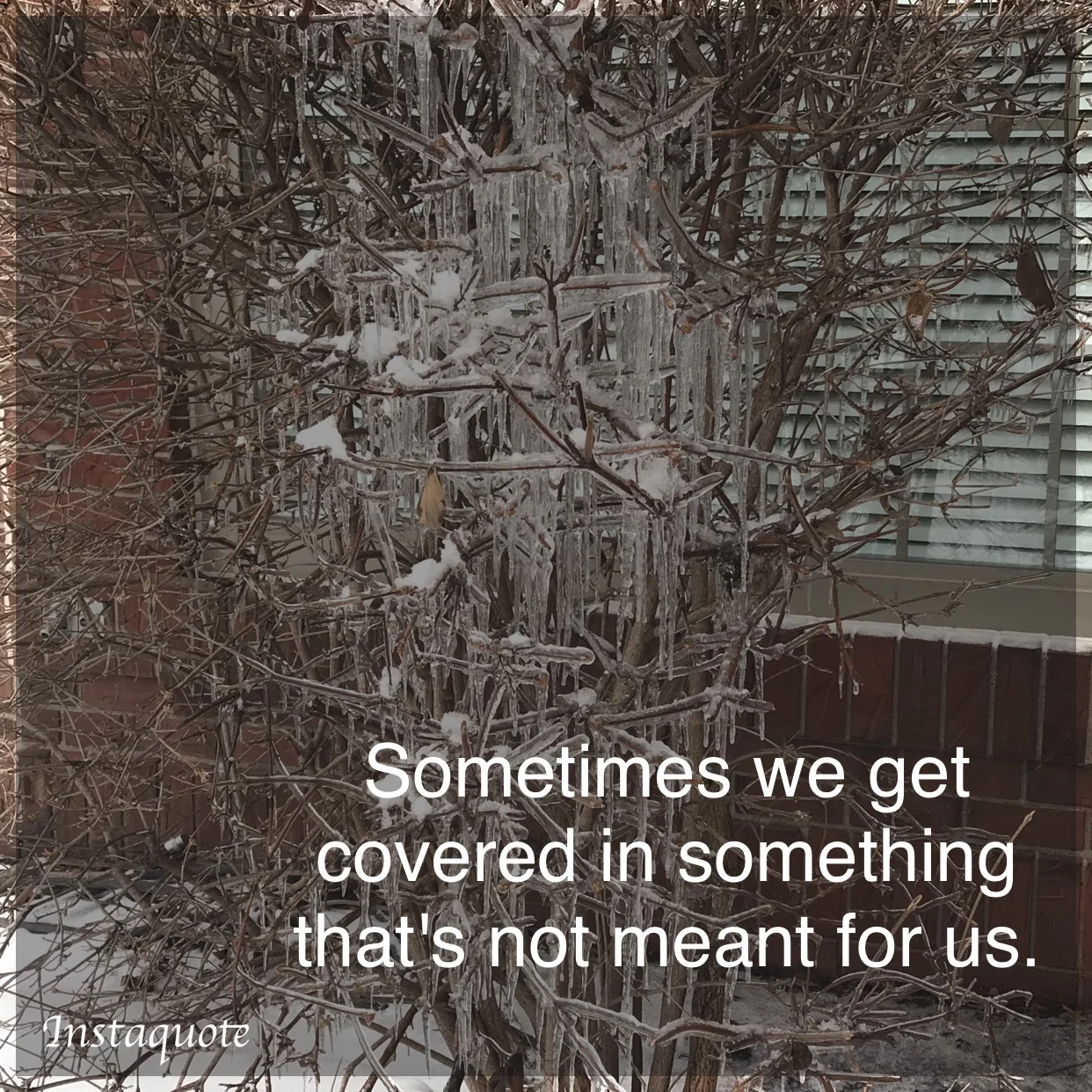 Prompt 11: Covered