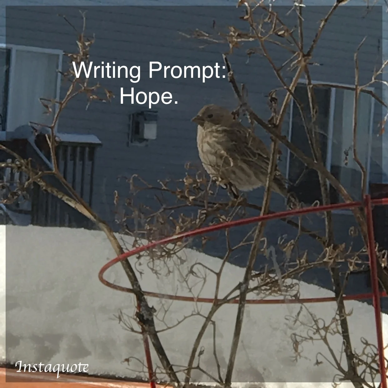 Prompt 16: Hope
