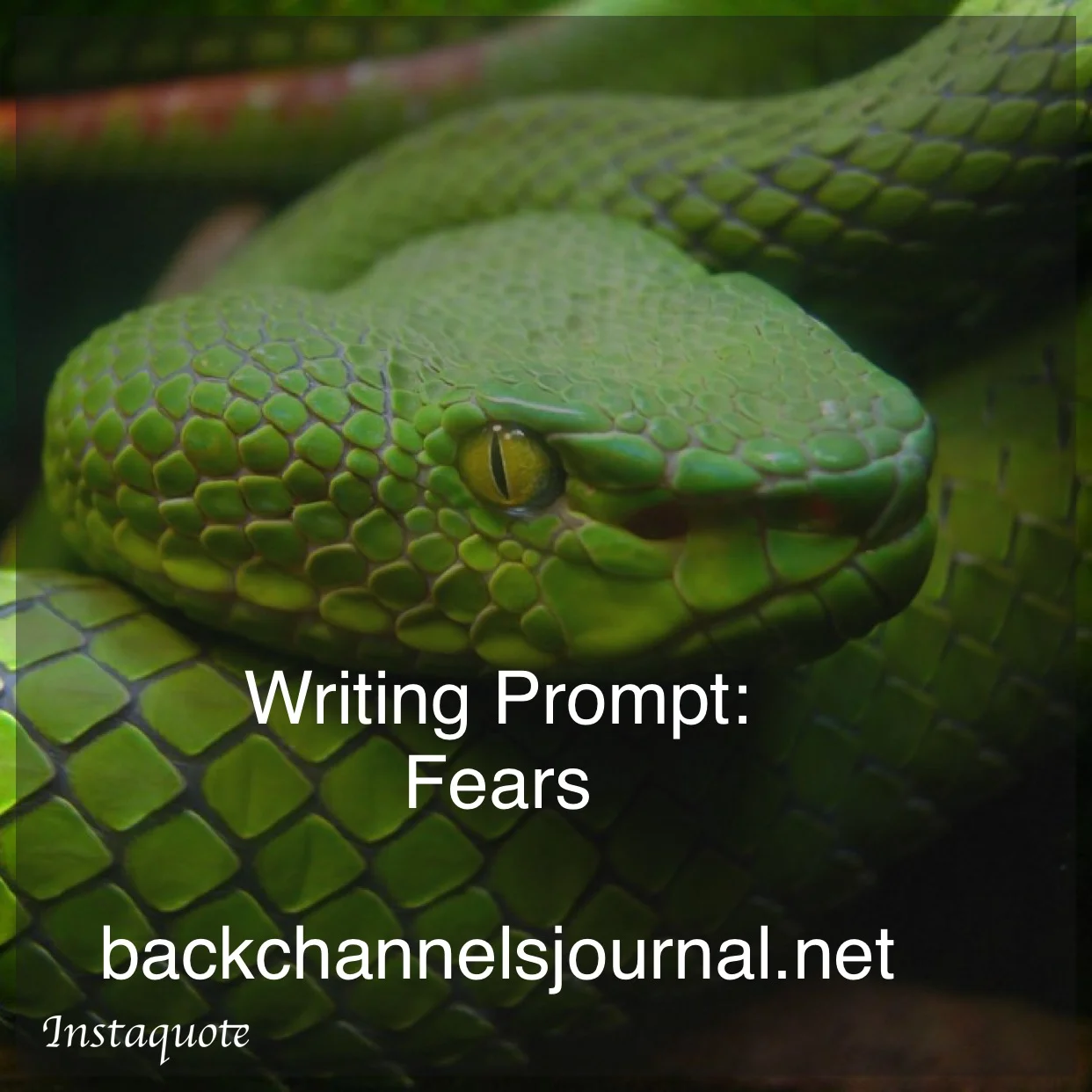 Prompt 17: Fears
