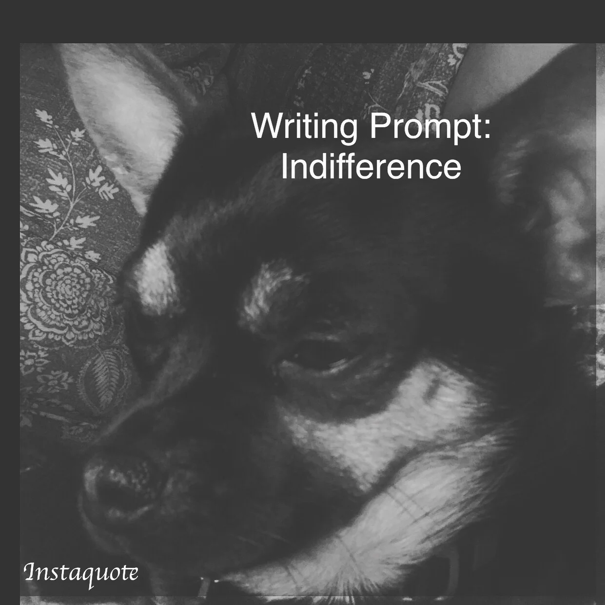 Prompt 20: Indifference